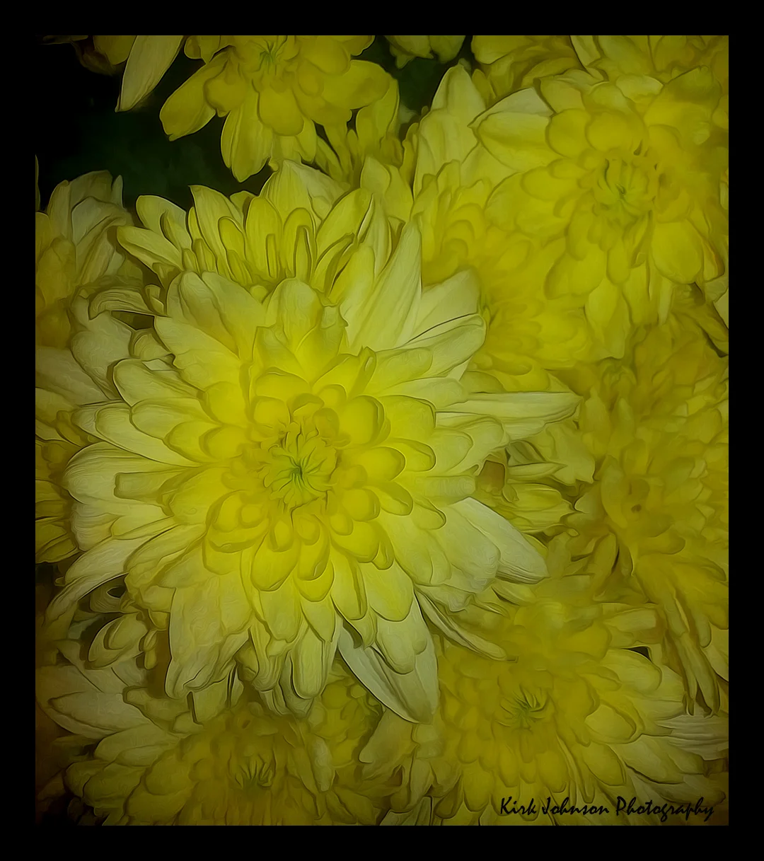 Yellow flowers