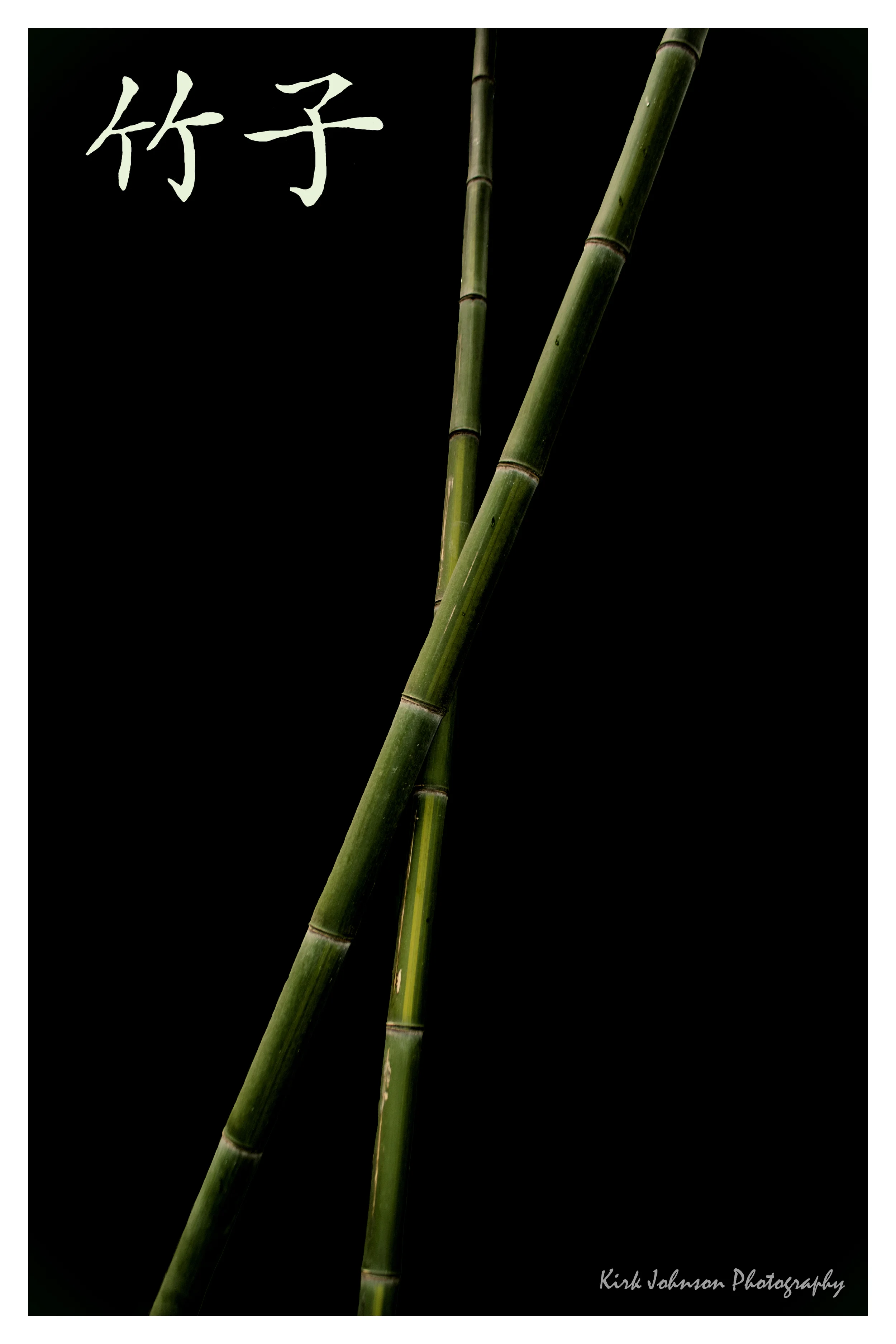 Crossed Bamboo