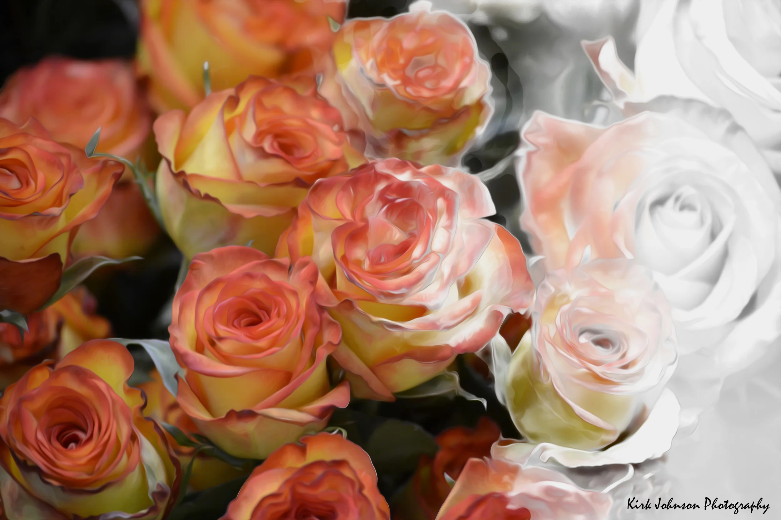 roses come alive.jpg