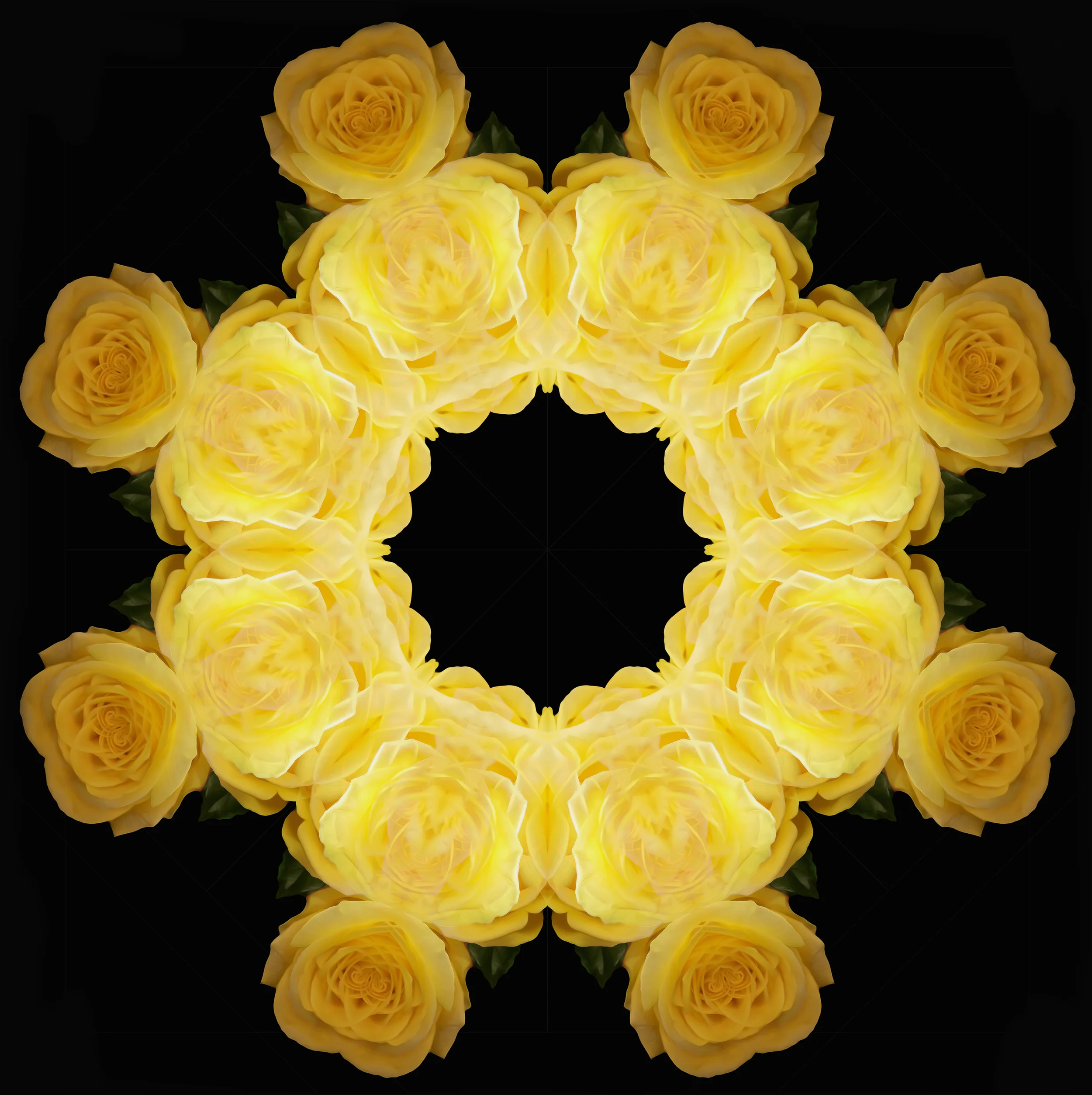 Yellow roses