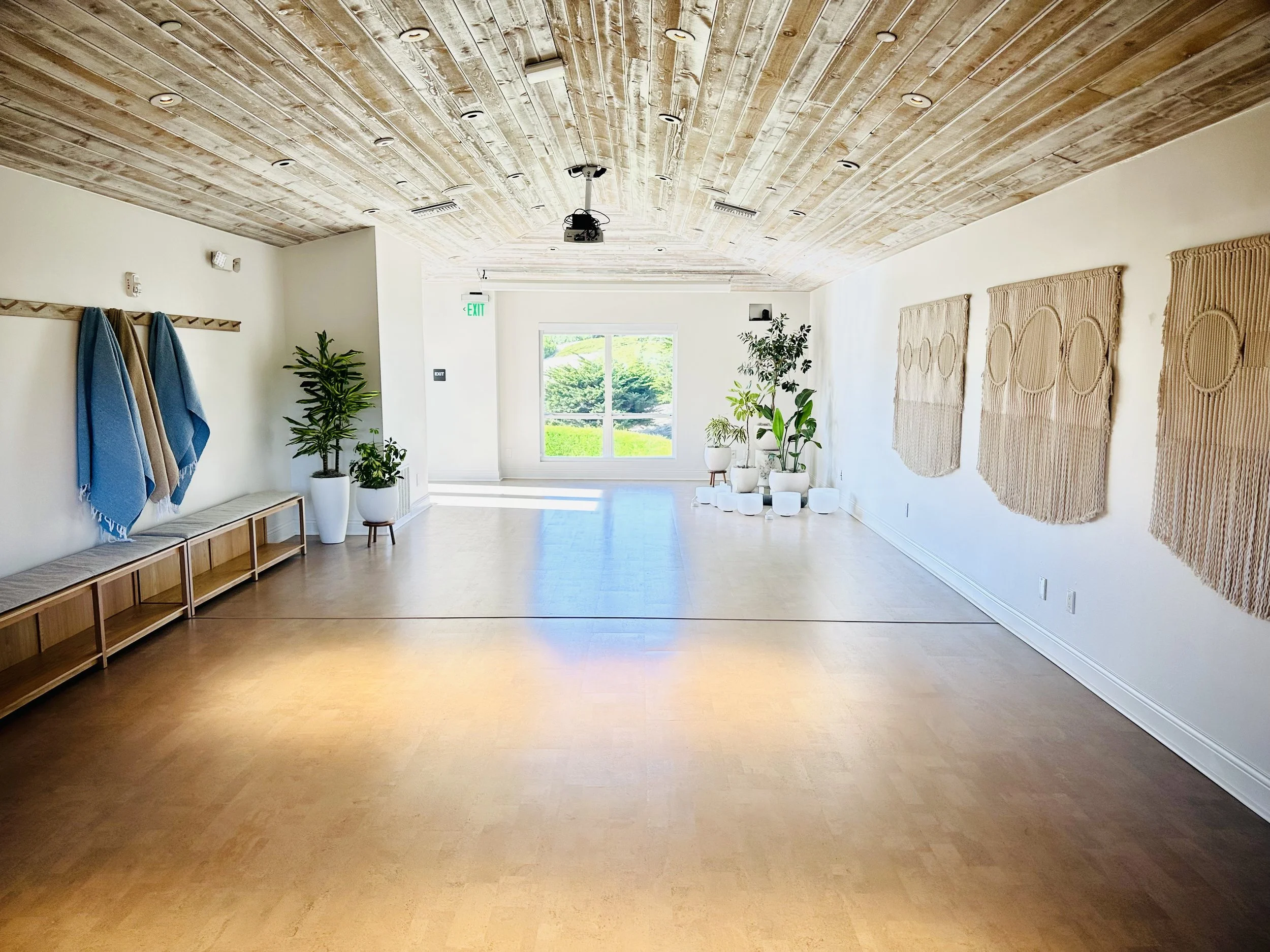 renewal 5 copy 2.jpeg