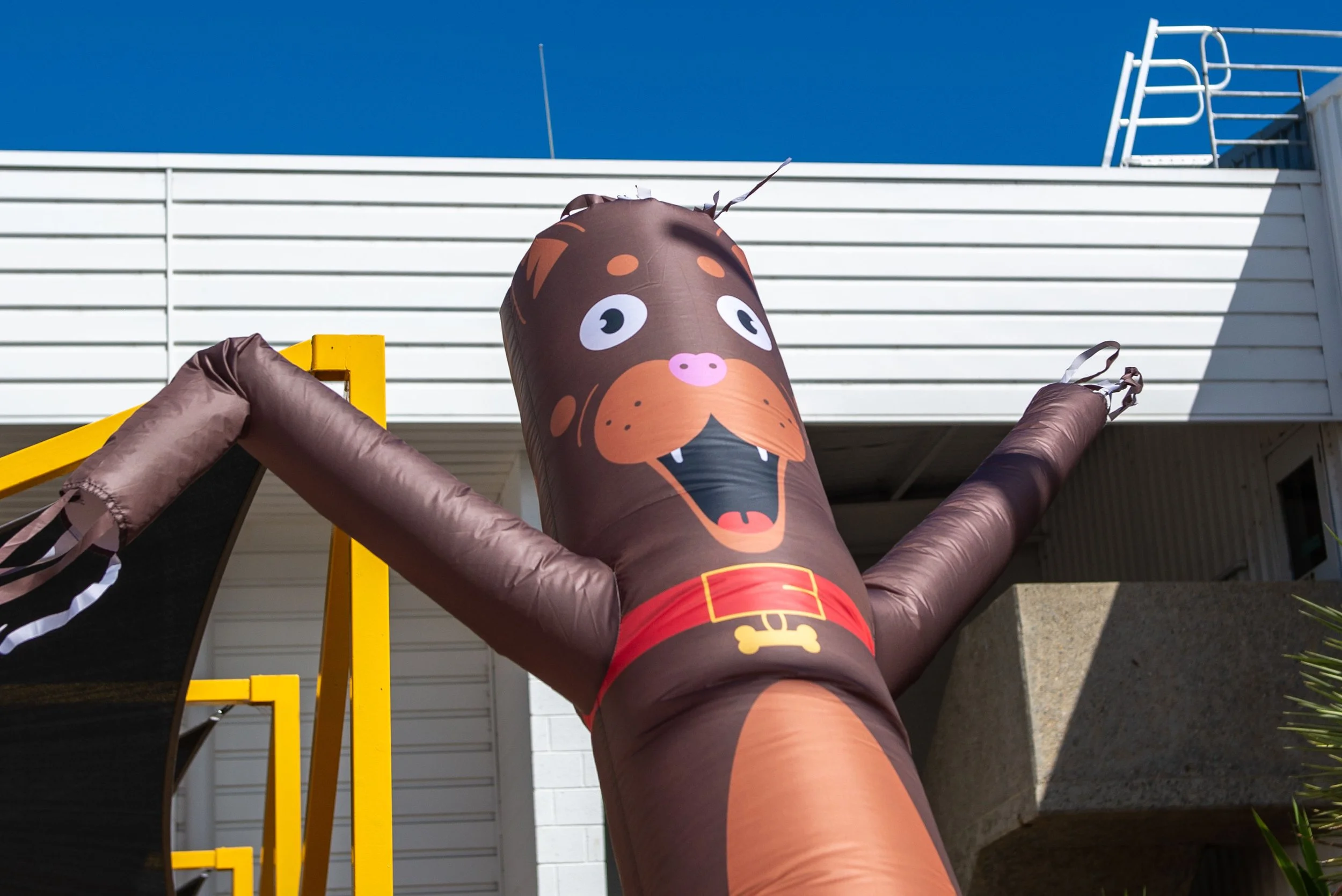 Custom inflatable air dancers to mark entry to pavilions. 