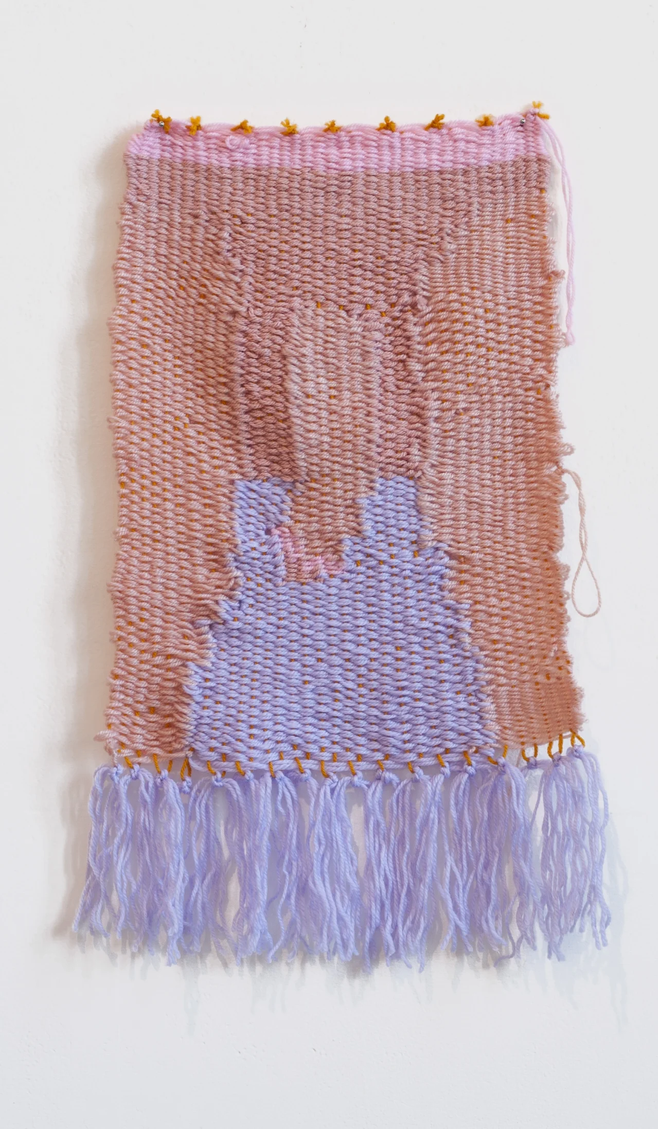 Do you like it? , 2015 Wool 60 x 35cm Photograph by Nathan Brooker. 