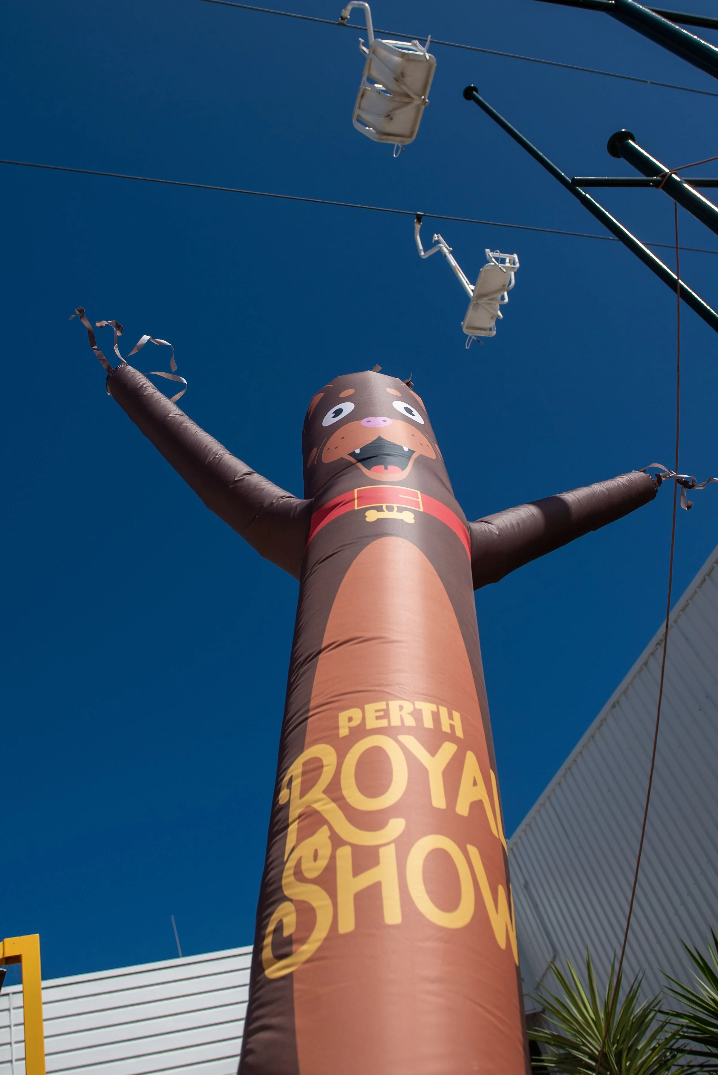 Custom inflatable air dancers to mark entry to pavilions. 