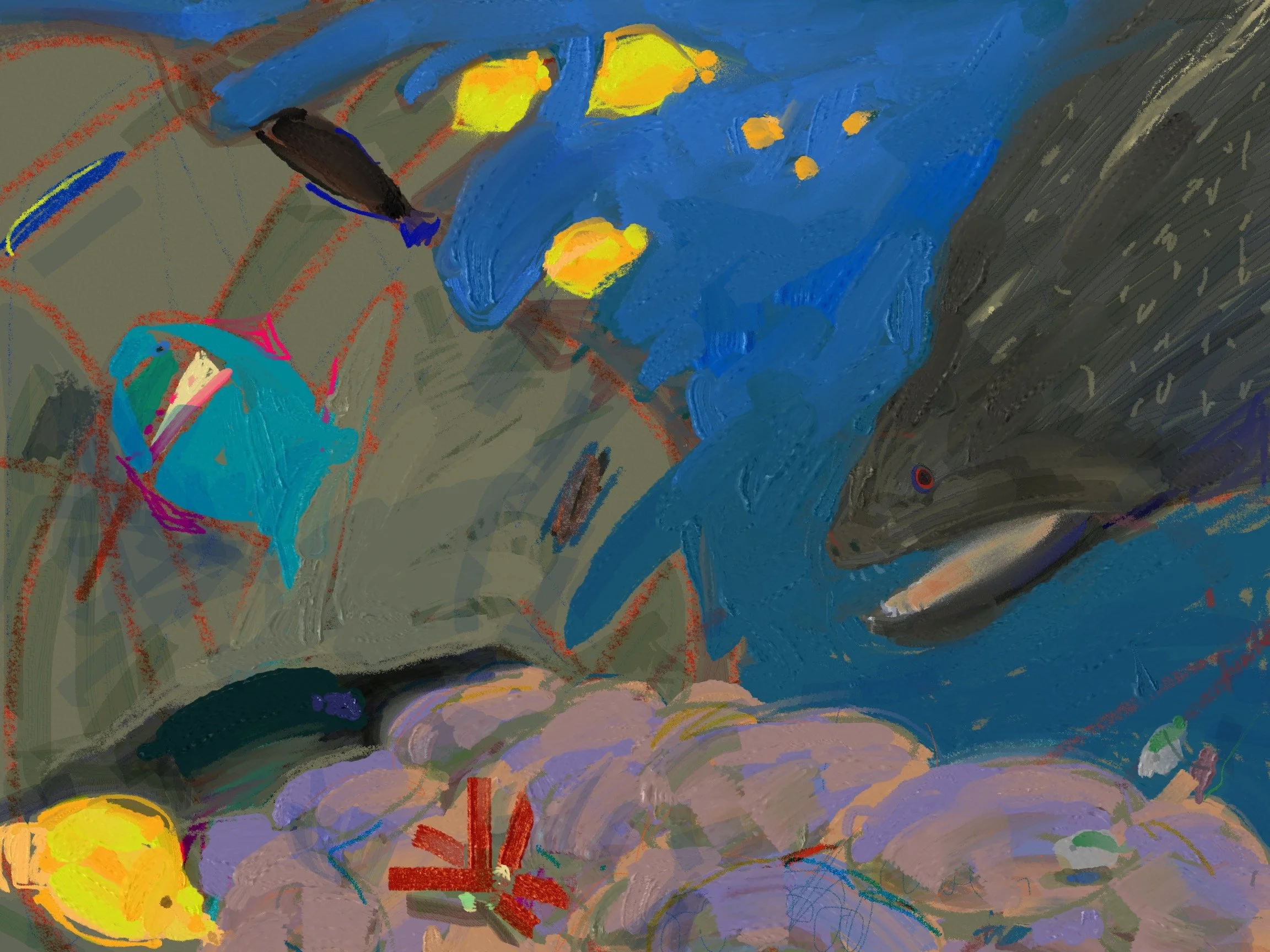 Kealakekua, Hawaii 2023