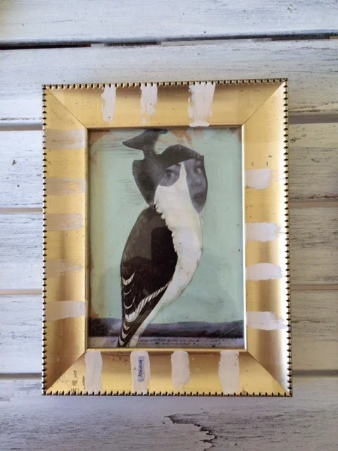 The Free Souls "absolute"