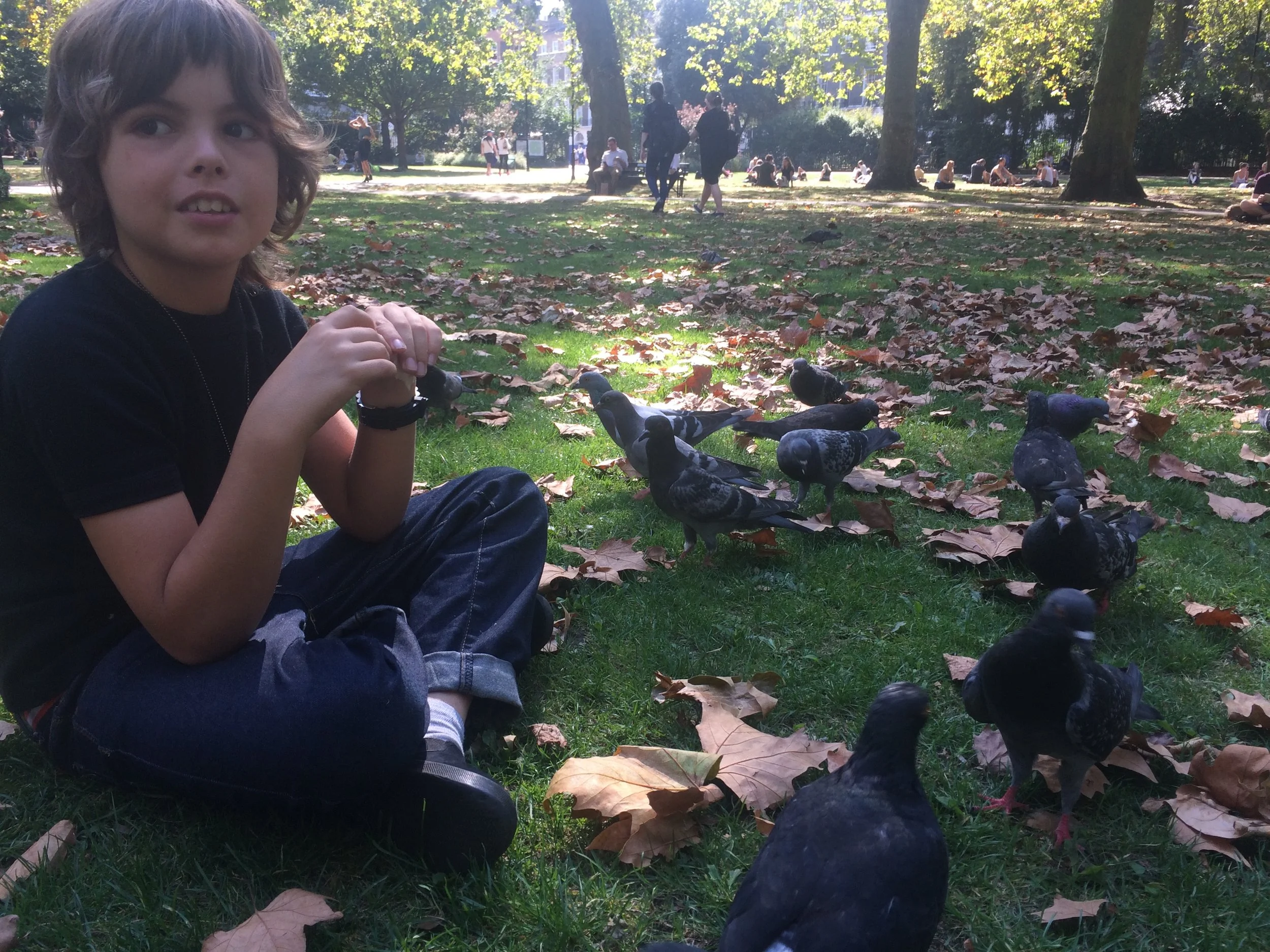 we had a picnics sometimes and i feed some birds and all of the birds come to me.