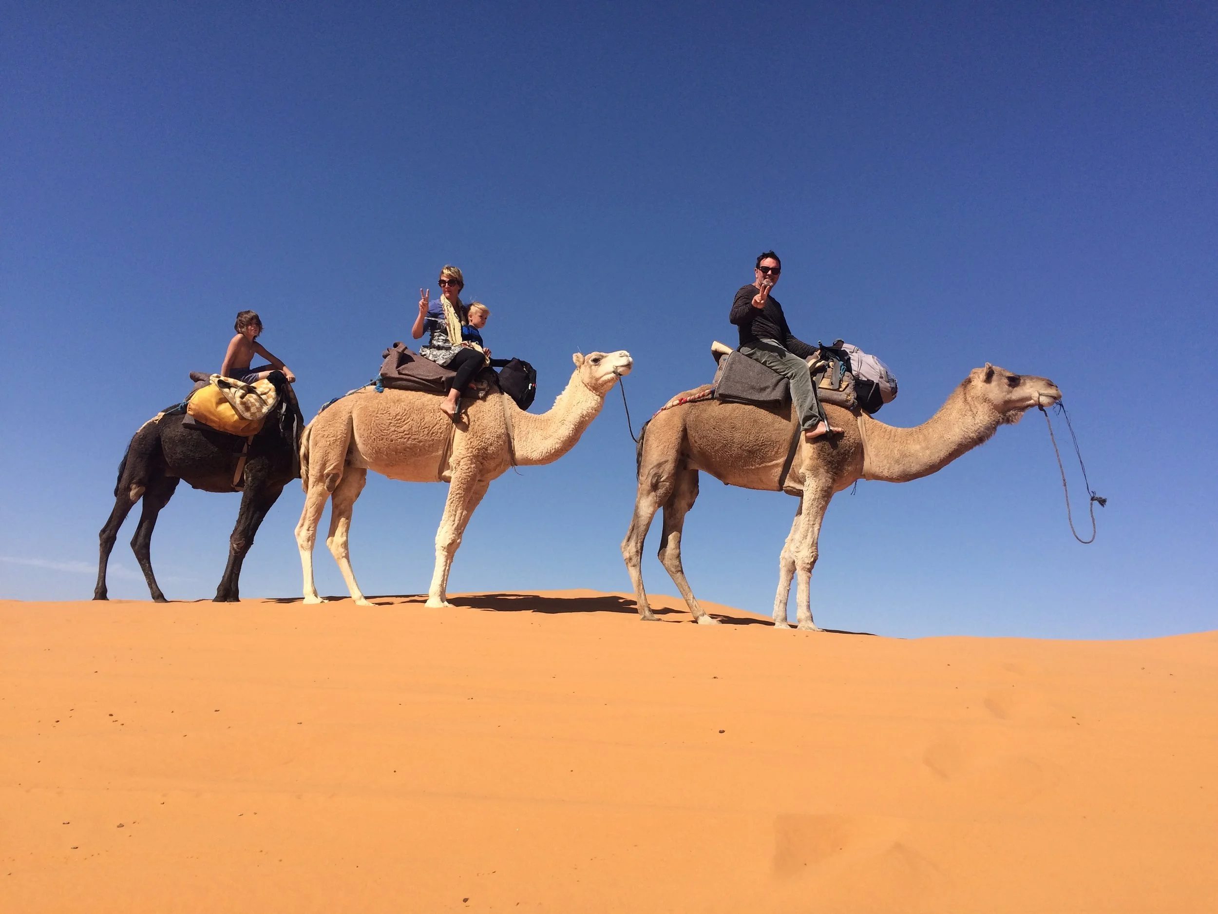the Sahara is a big desert and the sand is really soft and smooth. we went on a camel to stay at a camp for the night which was really cool. The Sahara is the largest desert in the world.