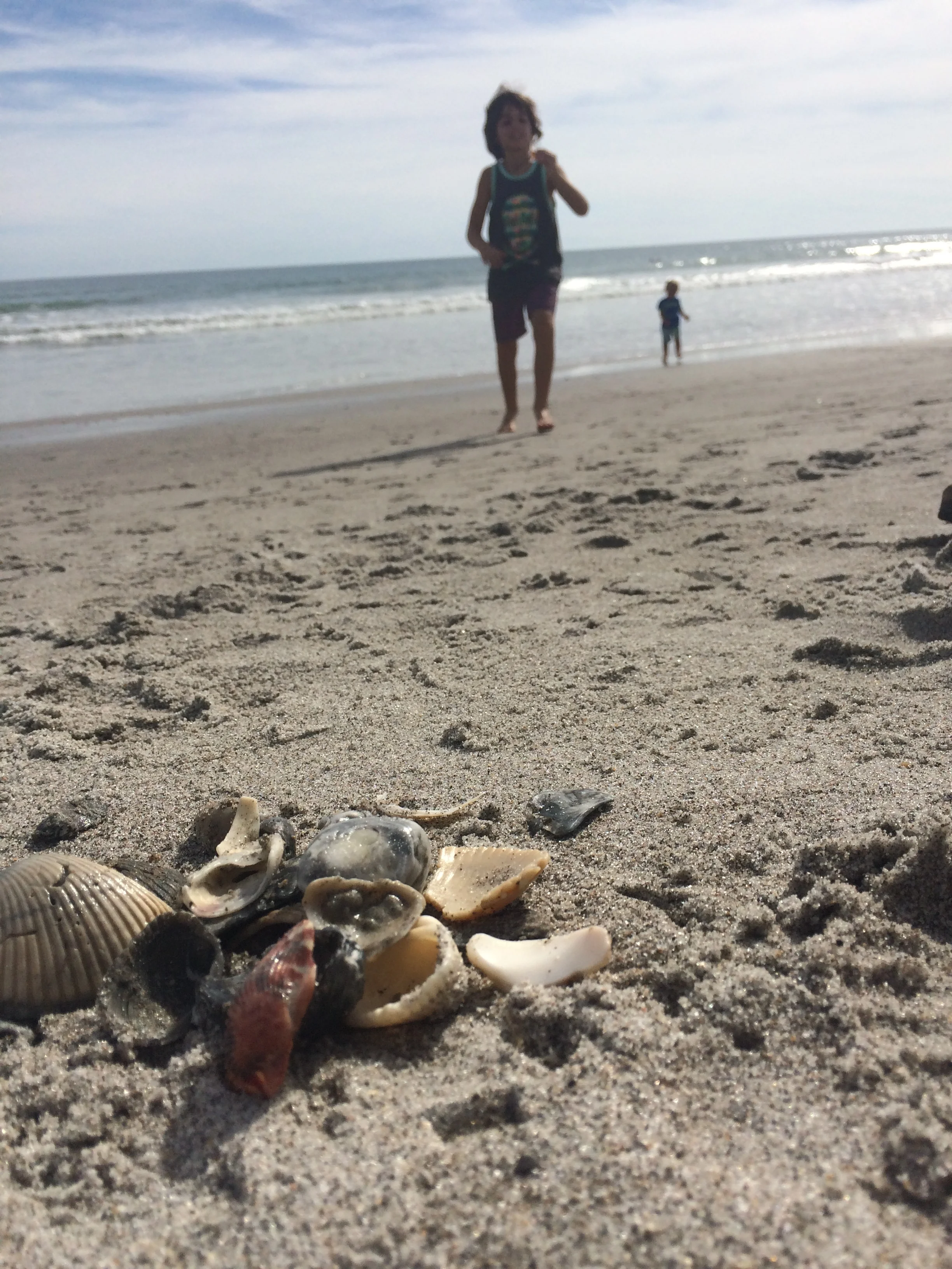 this is the sea shell for mum + hugo got some for mum as well = better day for mum 