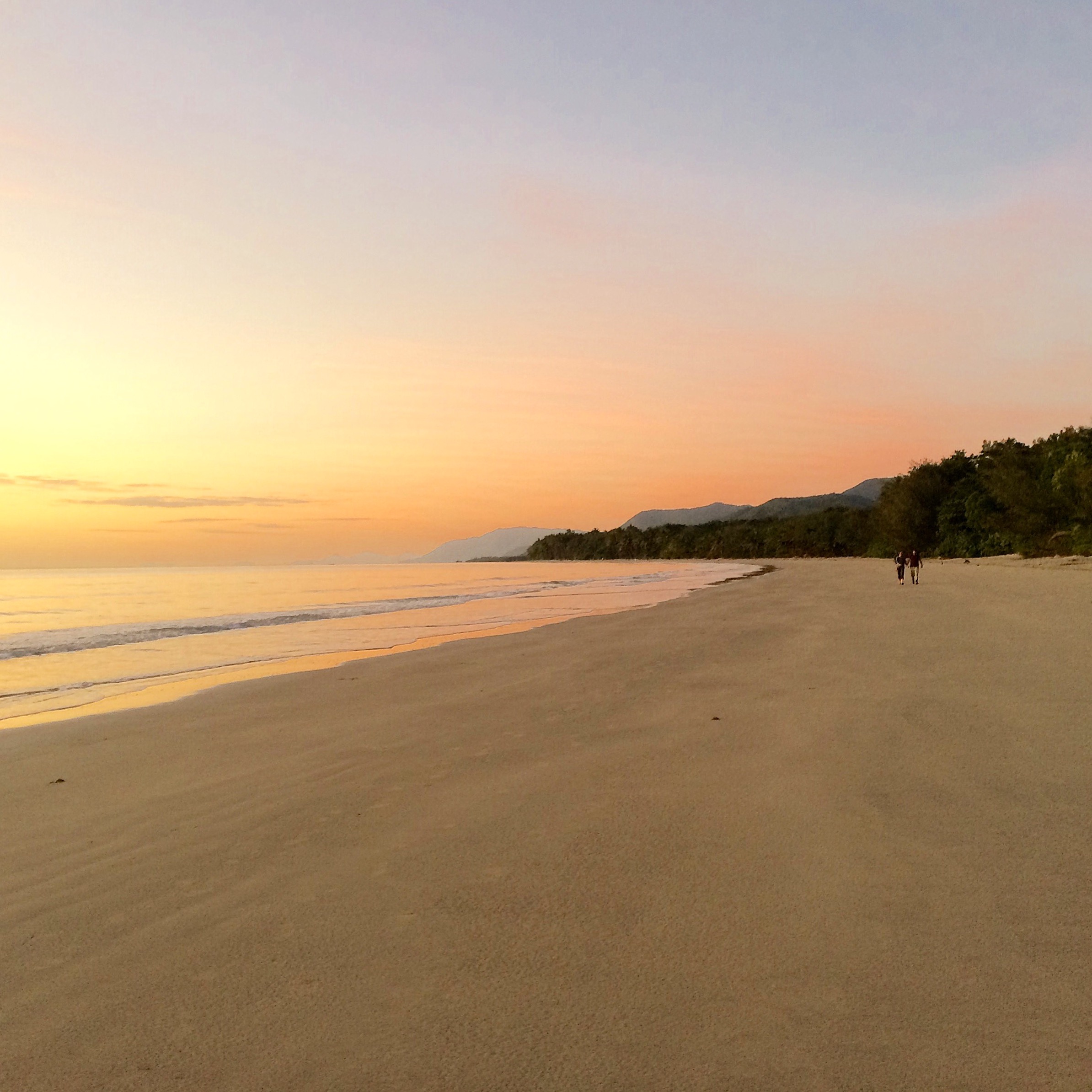 morning strolls along fourmile beach is the perfect start to the day