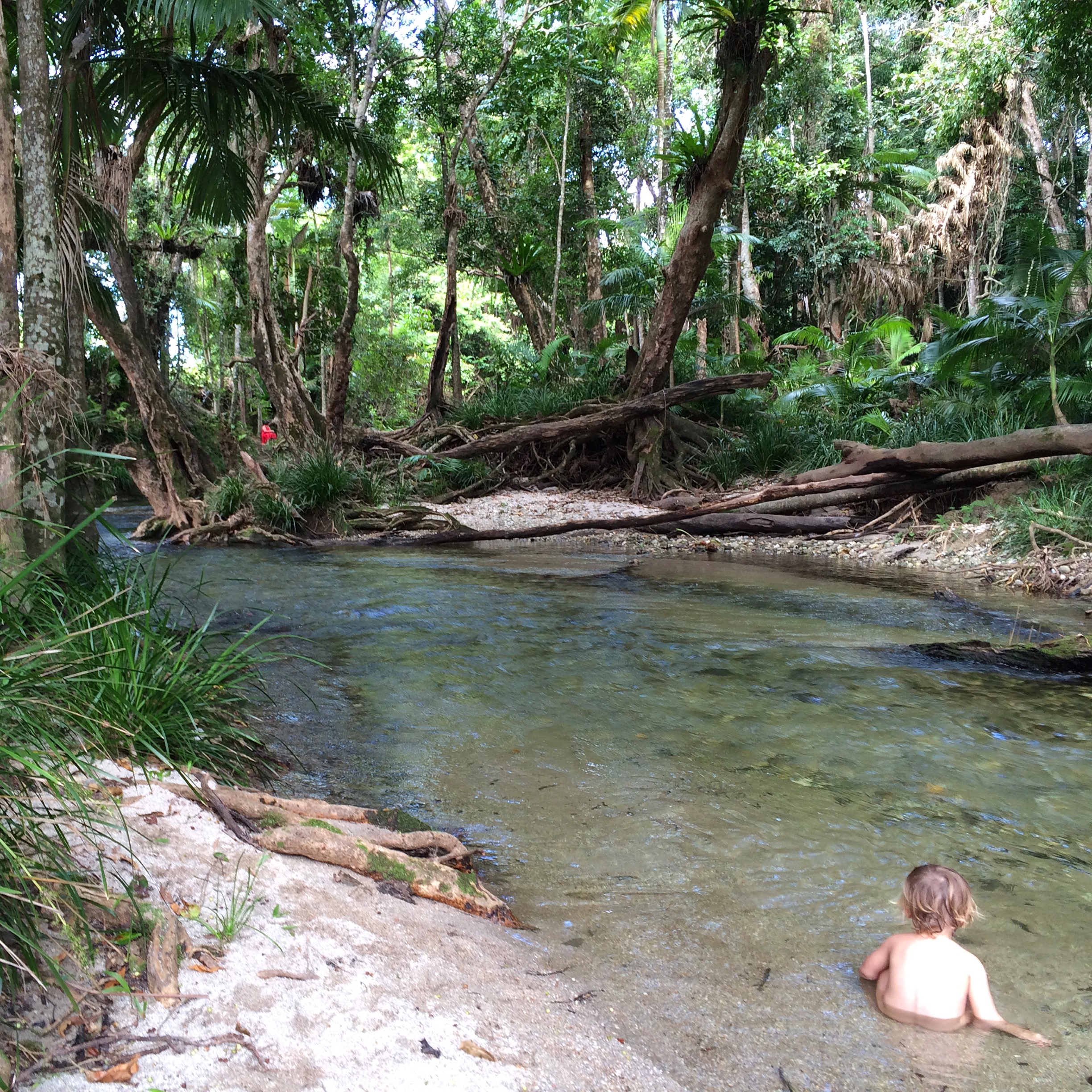 The freshwater rainforest creeks are heaven!