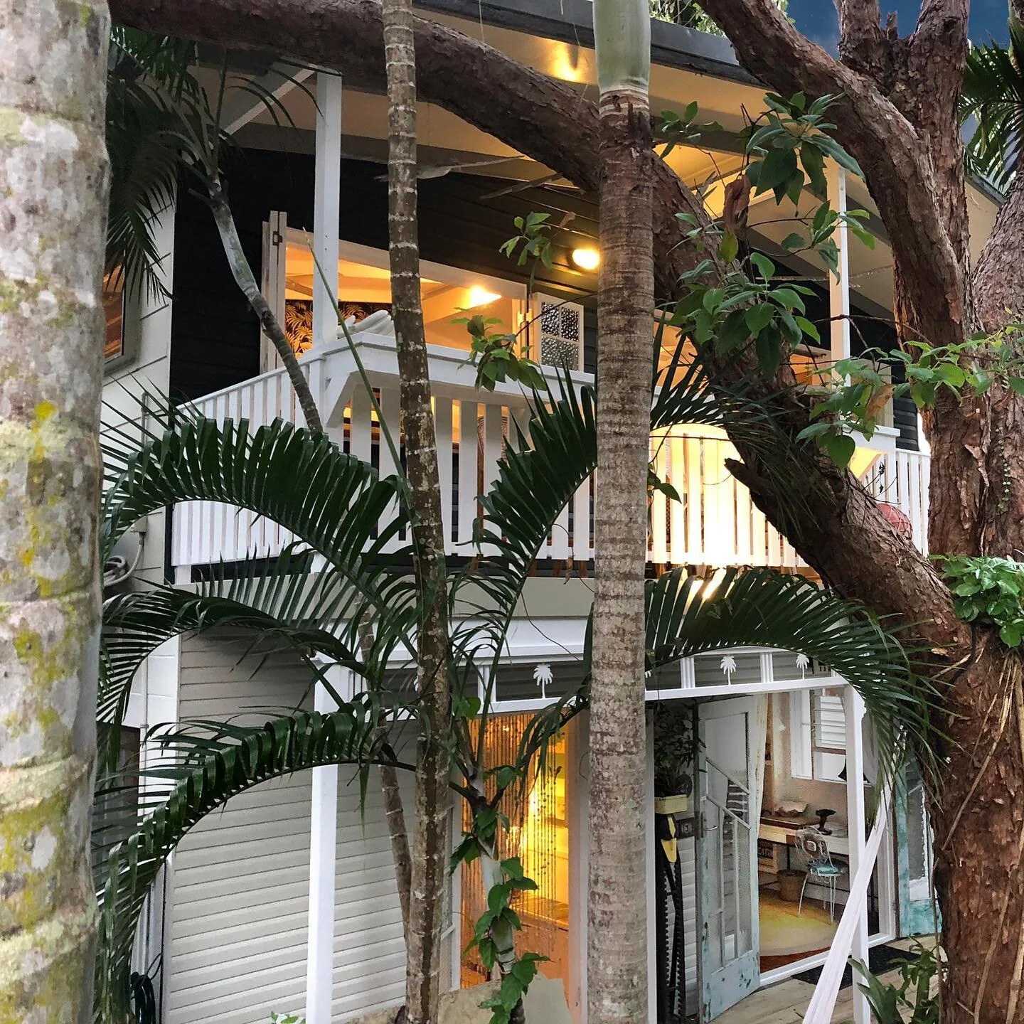 Need some tropical warmth? We just had a cancellation from the 17th to the 24th of June at the Artists&rsquo; Treehouse