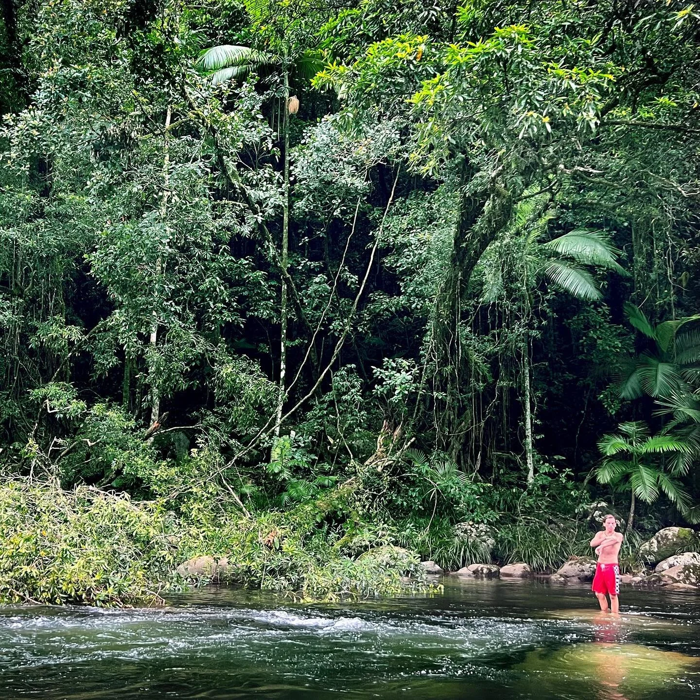 Tropical wonderland #PortDouglas
#TropicalWonderland
#NorthQueensland
#ParadiseFound
#NatureLovers
#TropicalBeauty
#ExploreTheTropics
#BeachLife
#IslandVibes
#LushLandscapes
#SunsetMagic
#TropicalEscape
#CoastalLiving
#RainforestAdventure
#CrystalCle