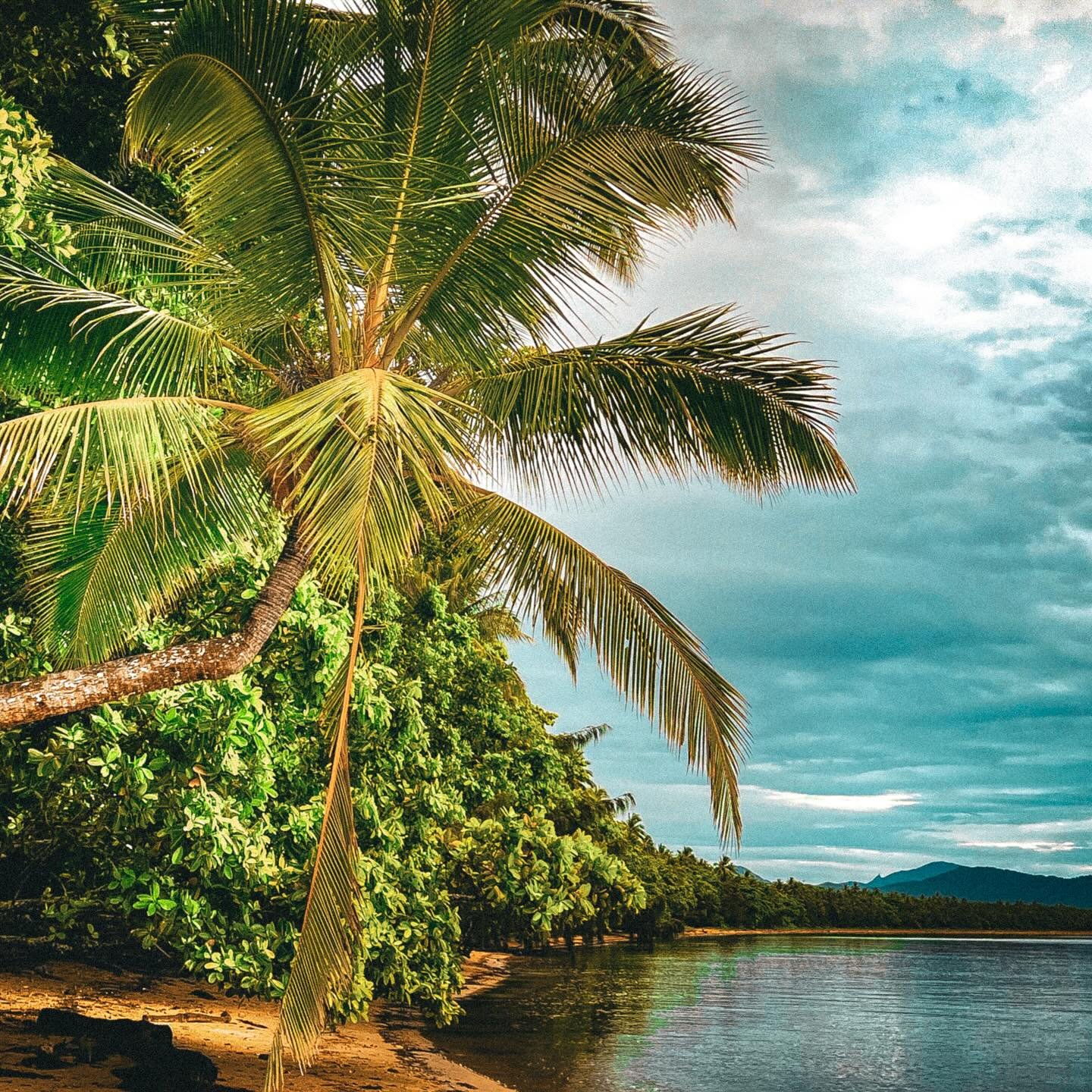 Tropical dreaming #portdouglas #wongabeach #farnorthqueensland