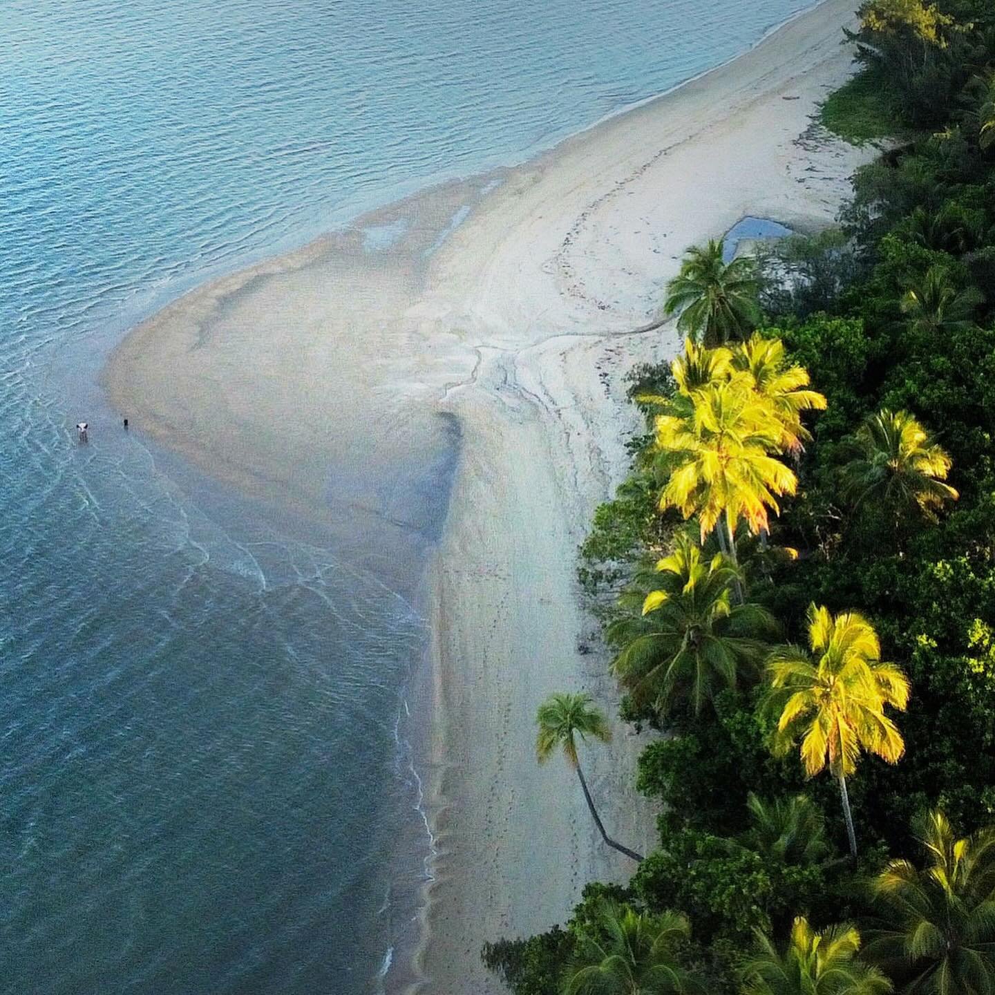 Paradise is calling #portdouglas #wongabeach