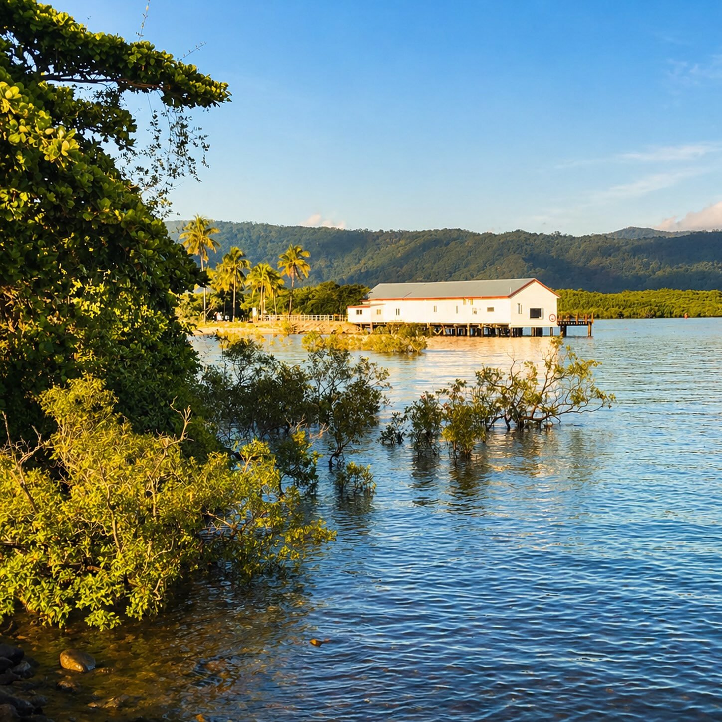 No schedule. No rush. Just a few easy days in the tropics. #portdouglas