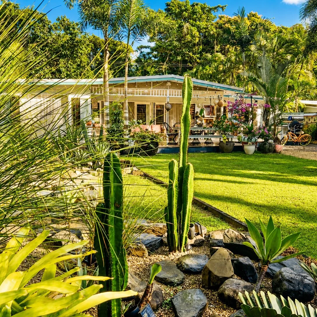 The Artists&rsquo; beach front - A place to slow down, settle in and let tropical time take over. #wongabeach #portdouglas
