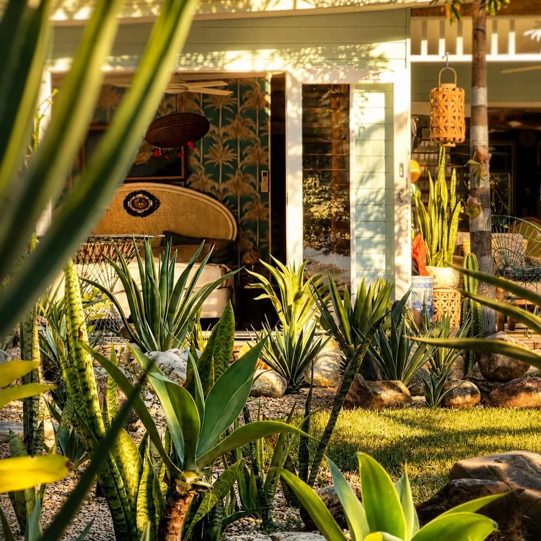 Snuggled between the Daintree Rainforest and the Great Barrier Reef, the Artists&rsquo; Beach Front is a place for the people you love: happy days together, plenty of time to chill out. Beach walks, shared meals, champagne in the pool, hammock time, 