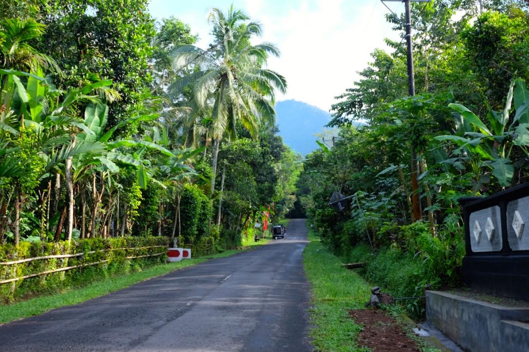 bali 2016 road to temple.jpg
