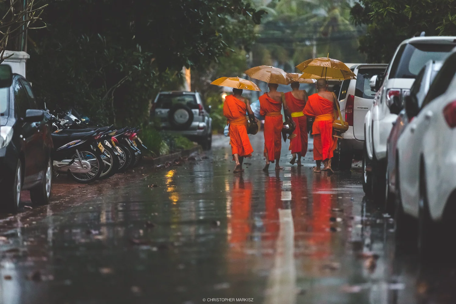 A small group of monks walk back to their temple after the early morning alms-giving ceremony in Luang Prabang, Laos. Normally, there are several dozen, if not hundreds of monks who partake in this daily ceremony but on cold and rainy days like this one, only a handful show up to carry on the sacred tradition.