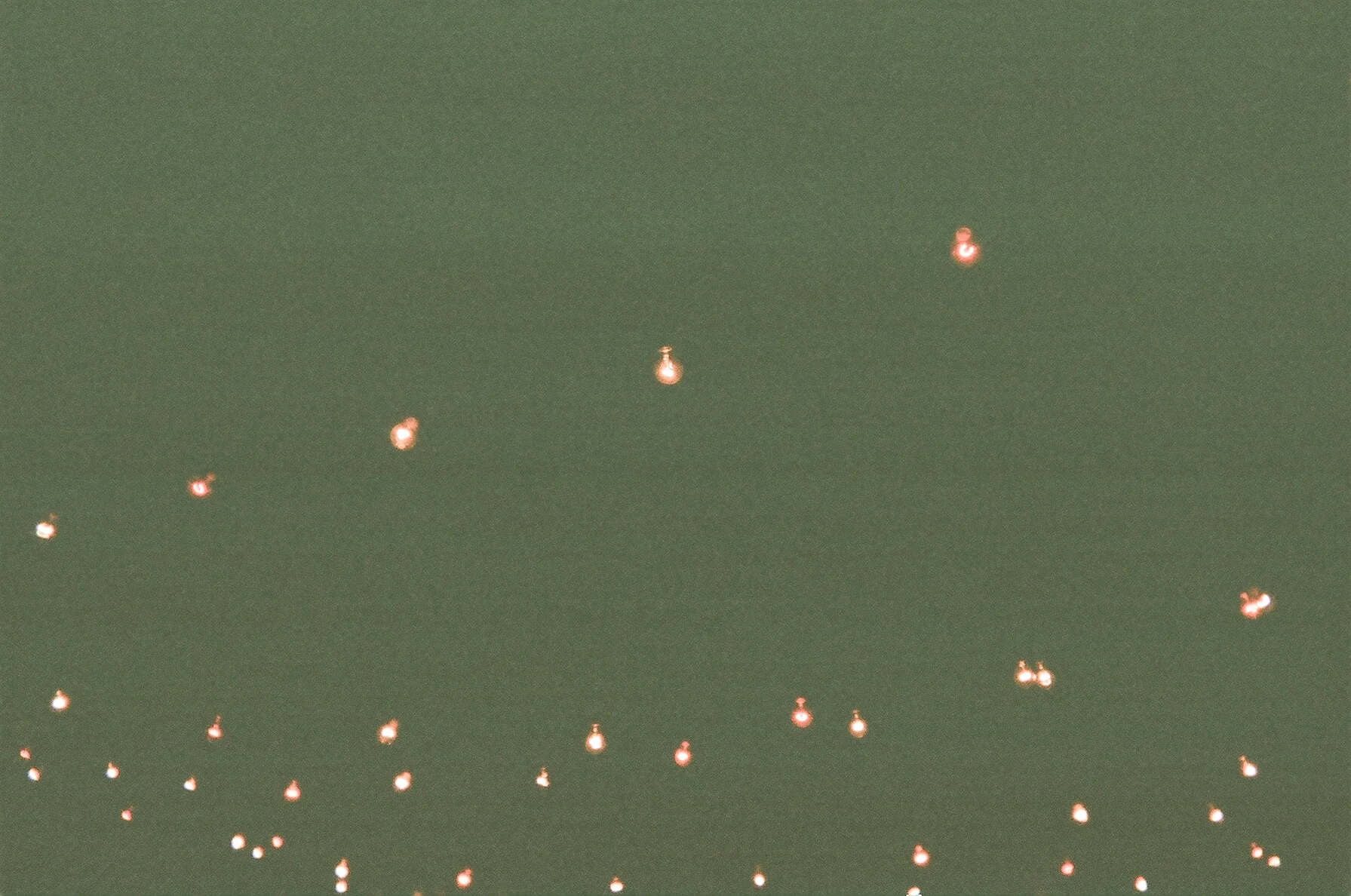 47600013.JPG