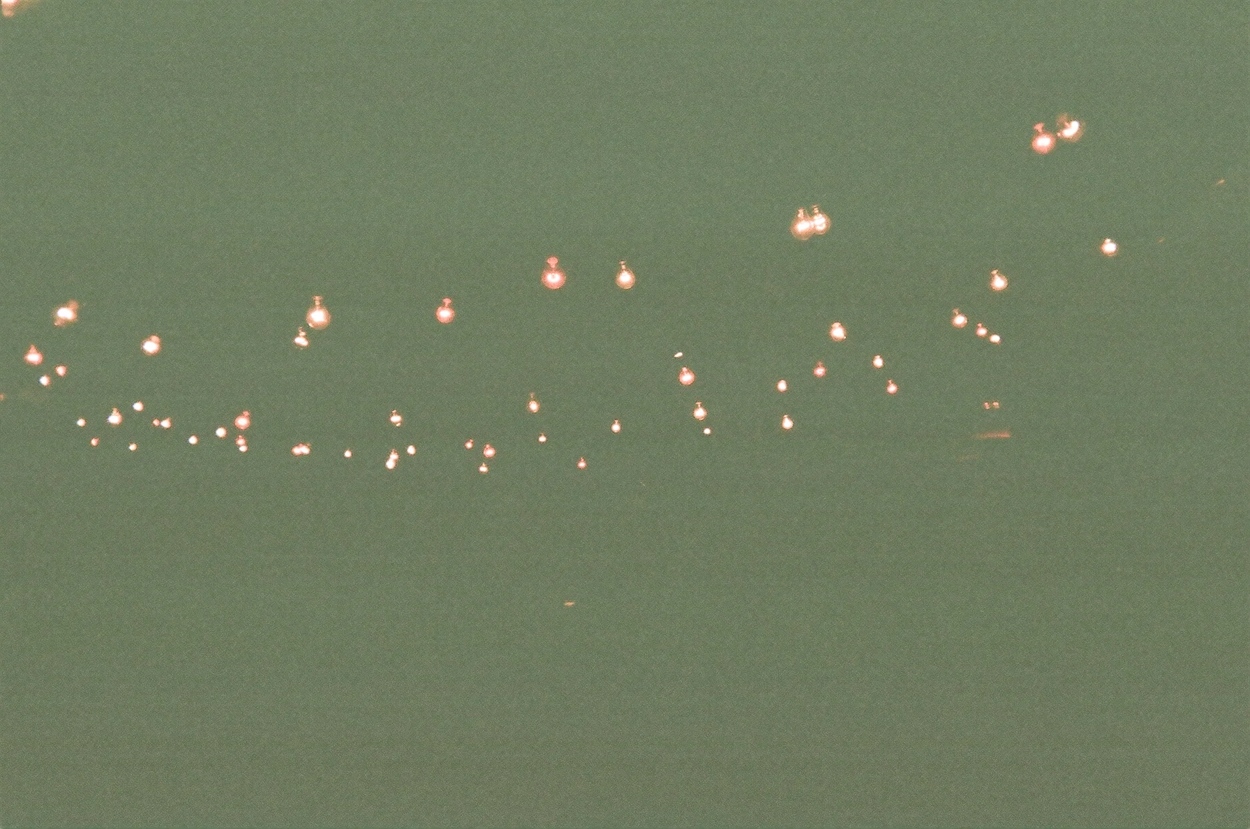 47600014.JPG