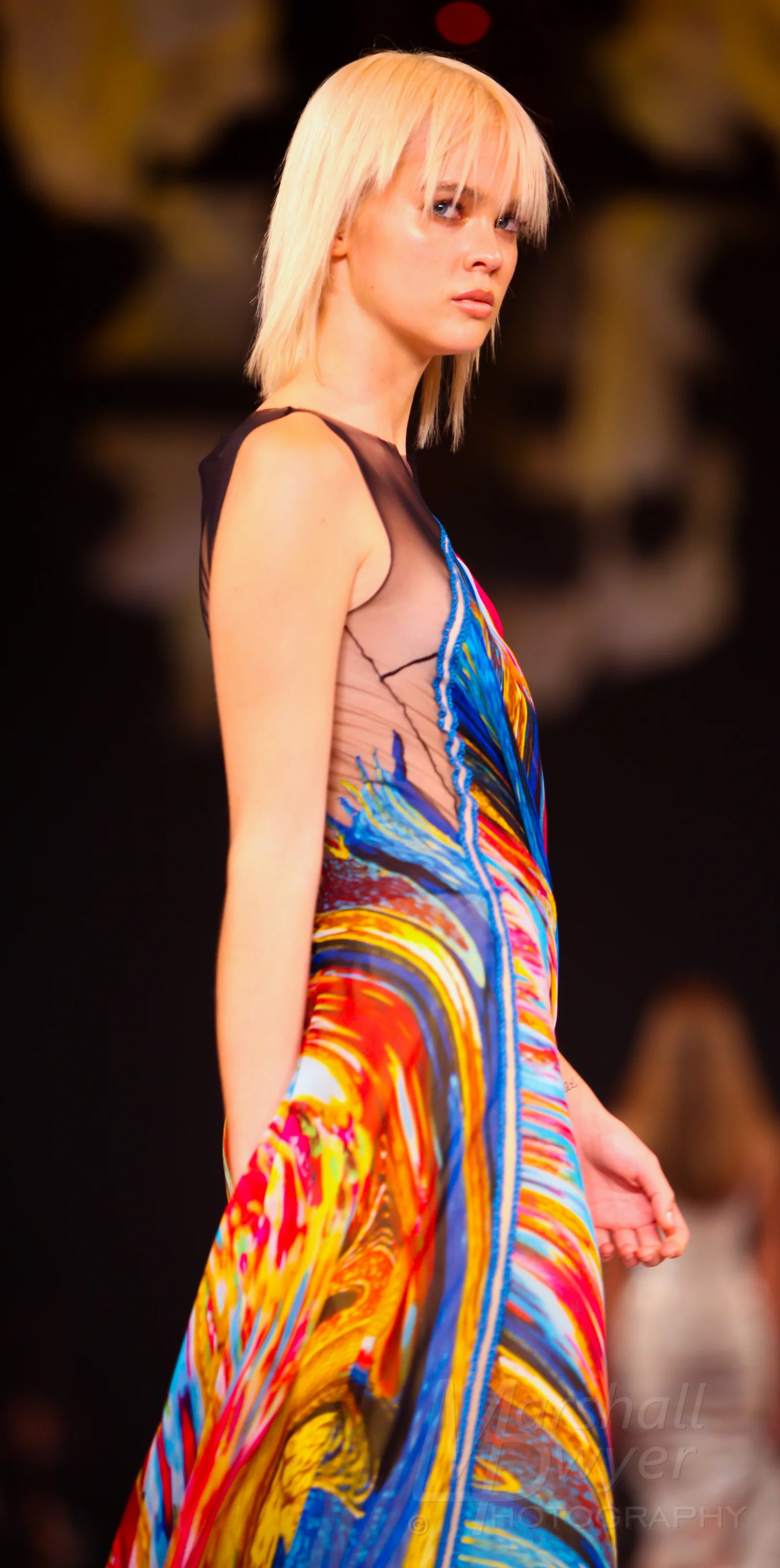 MDP_20090316192811.jpg