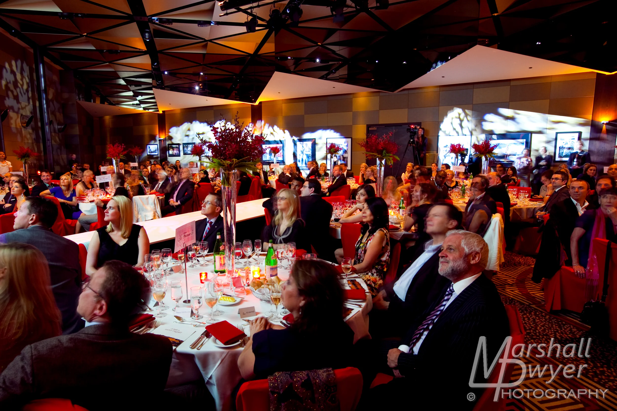 MDP_20111122195725.jpg