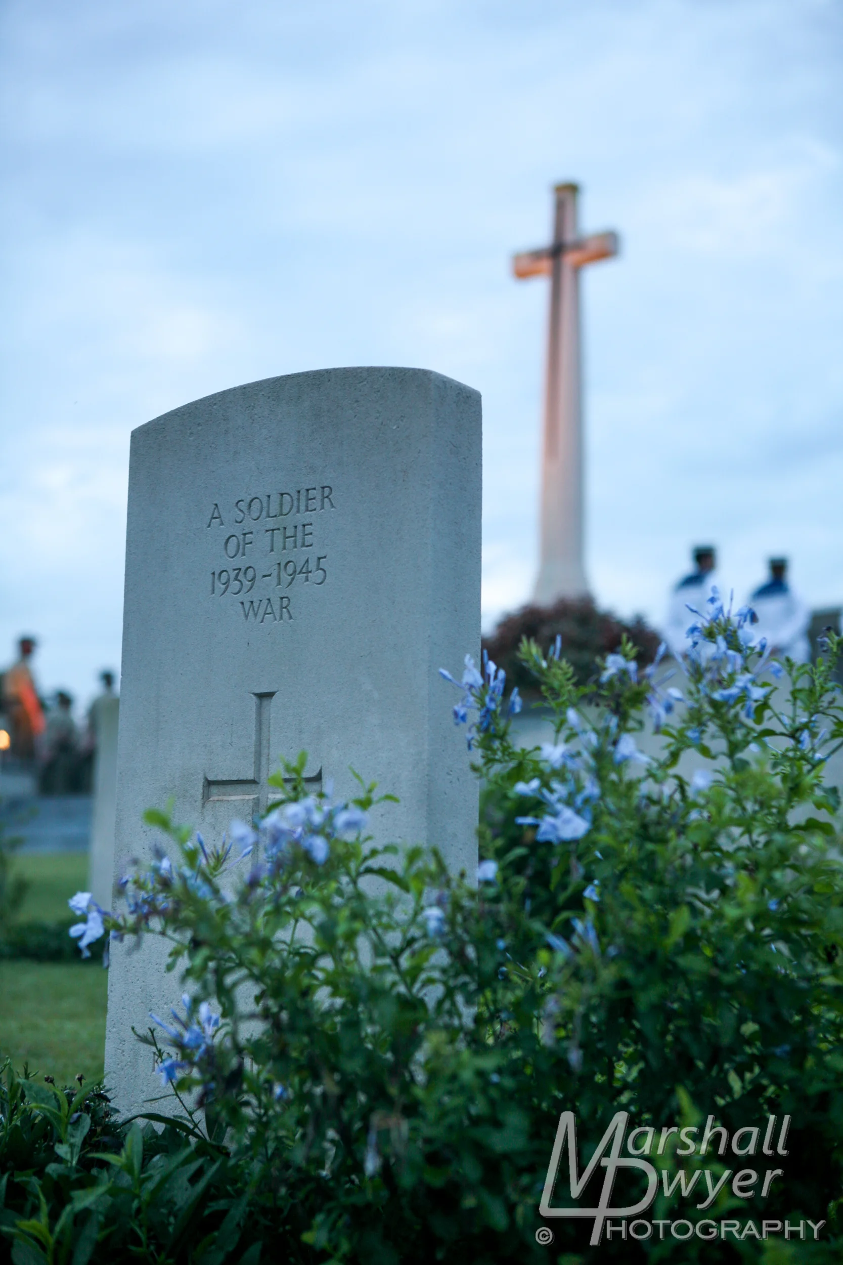ASDF557.jpg