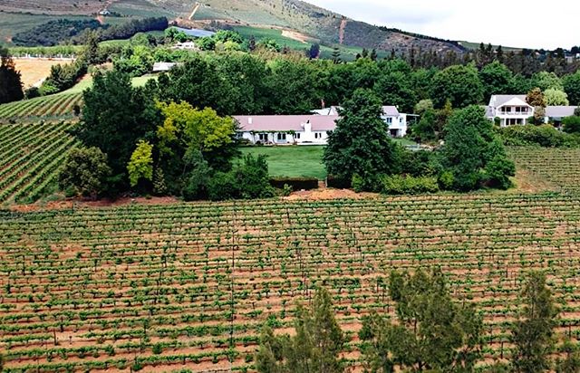 An aerial shot of our cab/sav vineyards and the homestead.
.
.
.
#camberlwines #camberley #winefarm #cabernetsauvignon #vineyards #photography #stellenbosch