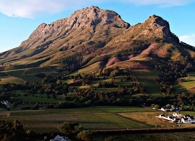 The Simonsberg in all its glory.
.
.
.
#camberlwines #camberley #stellenbosch #winefarm #photography #mountains #vineyards #redwine