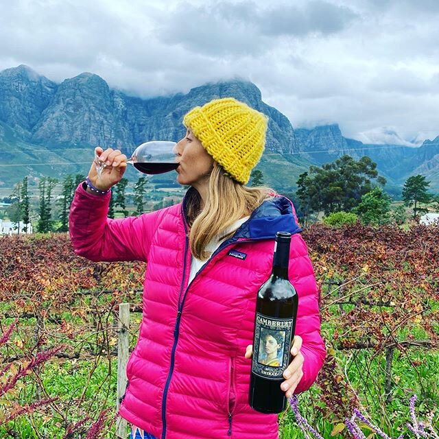 Founder and owner of the awesome @leonistaspirit tequila brand,  @barbarella_twinkletoes tucking into some 2016 Shiraz. .
.
.
#camberley #camberleywines #winefarm #redwine #shiraz #winter #lionista