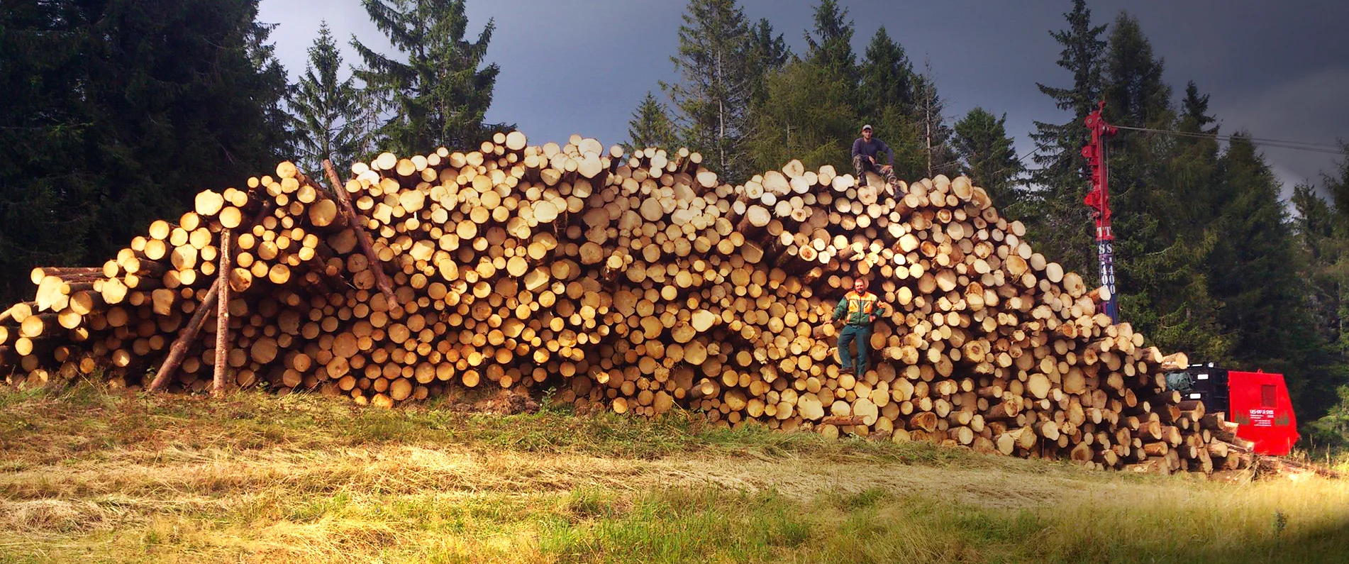 holzstossEDIT.jpg