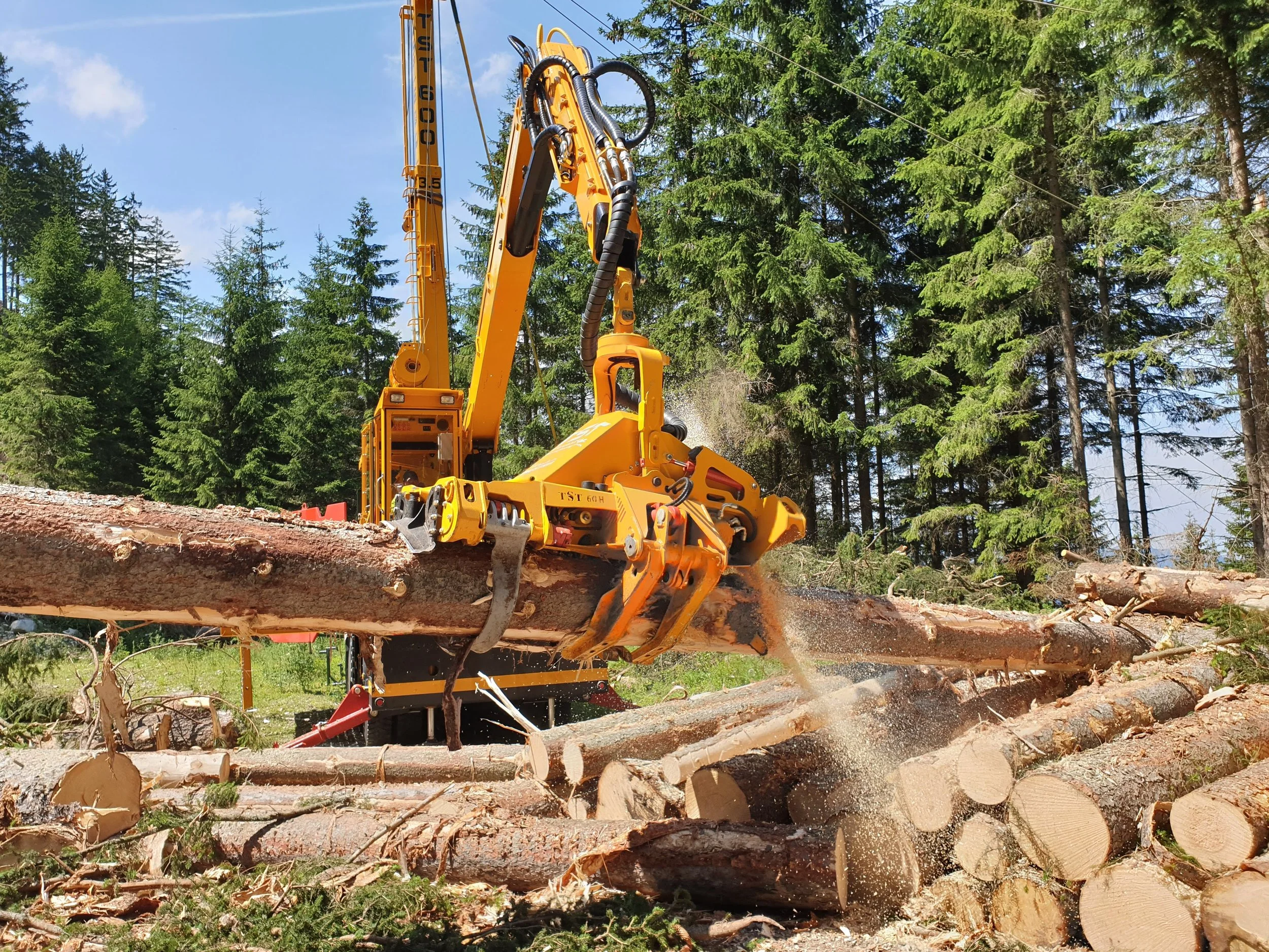 Anton Drehers Forstamt setzt auf TST