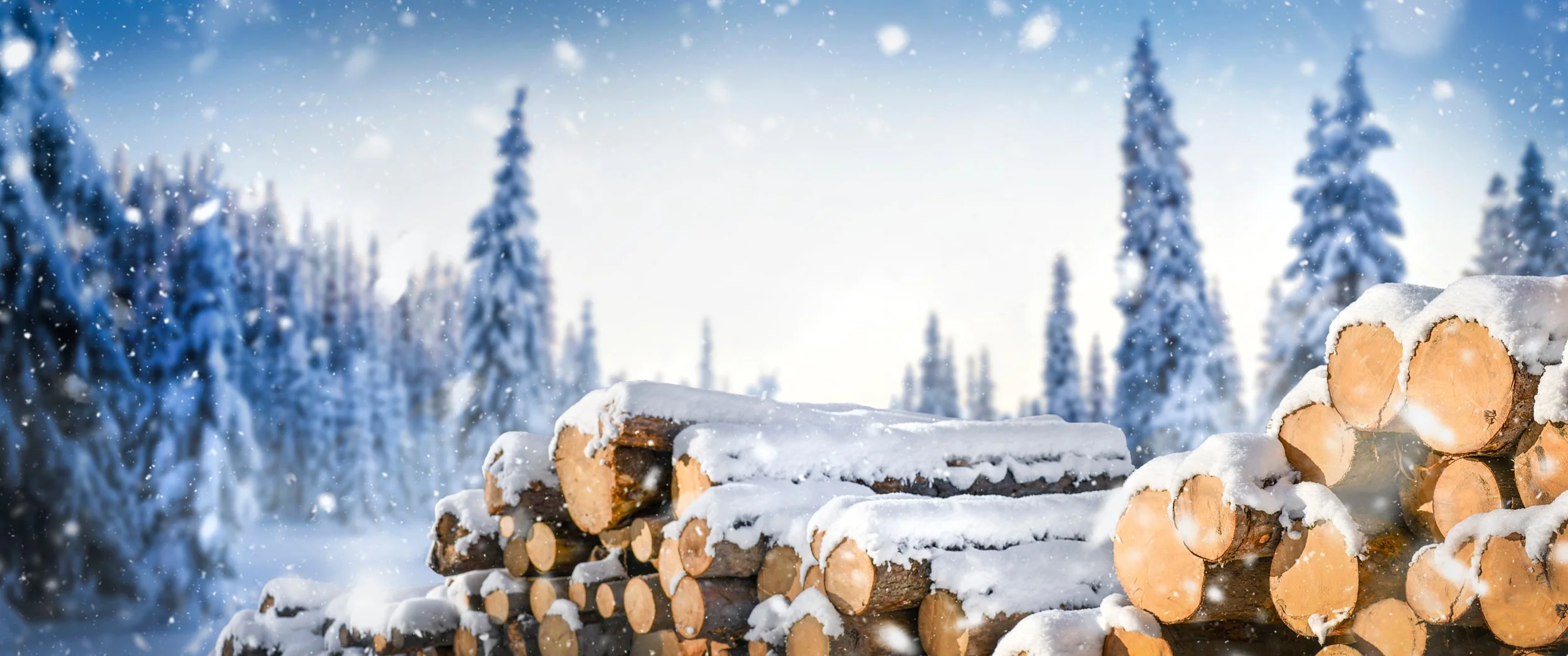 Weihnachtswünsche & Urlaub