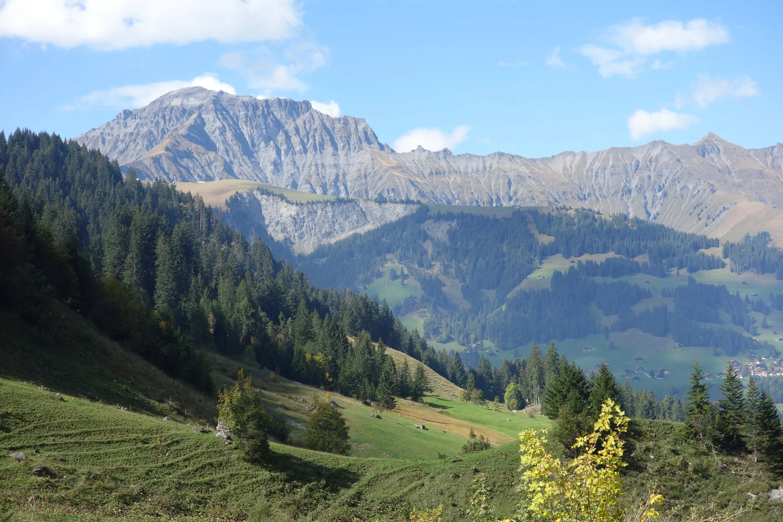 Timbernator → Schweiz