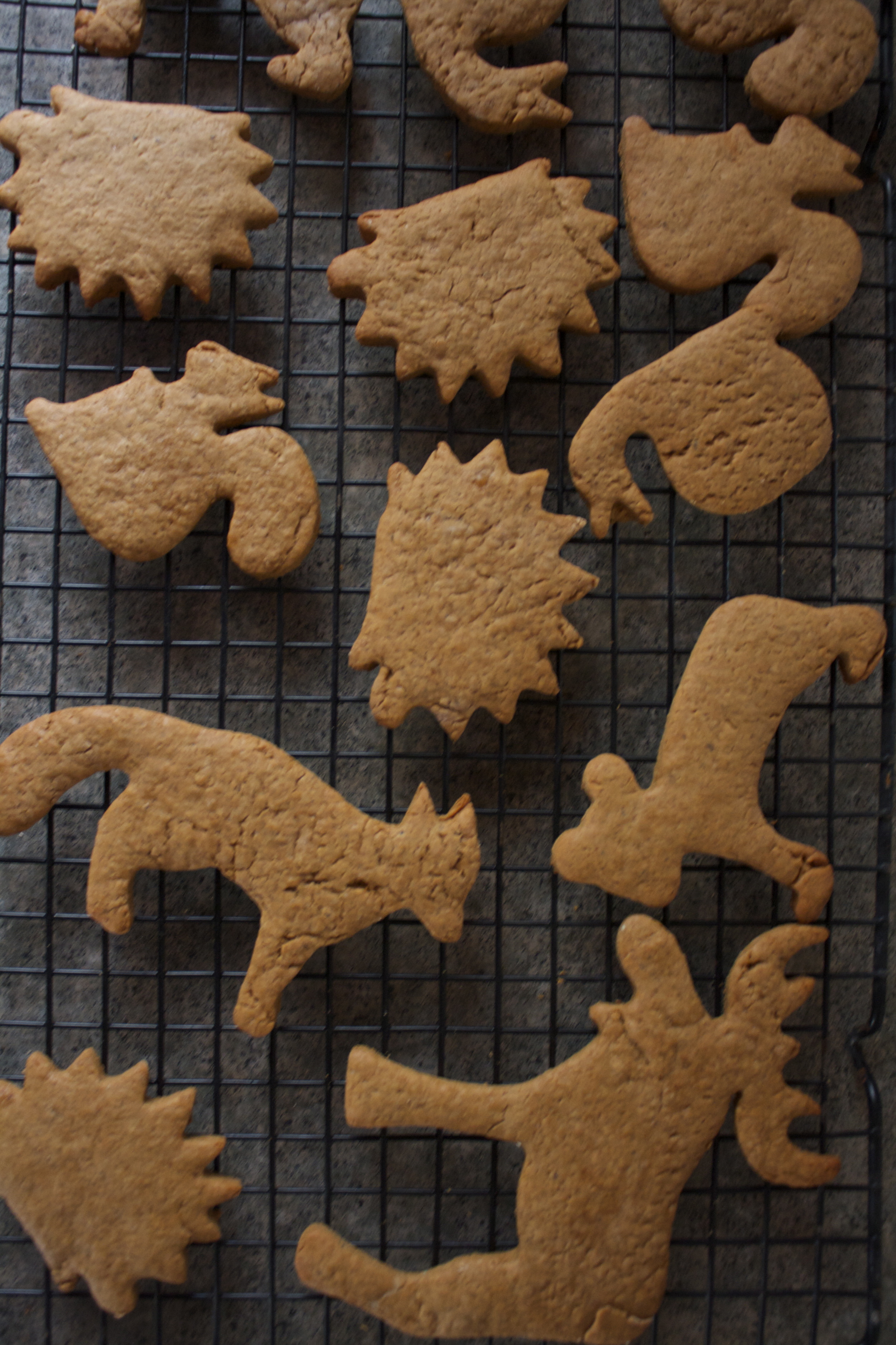 Gingerbread Woodland Creatures (Cookies) — The Lovely Crazy