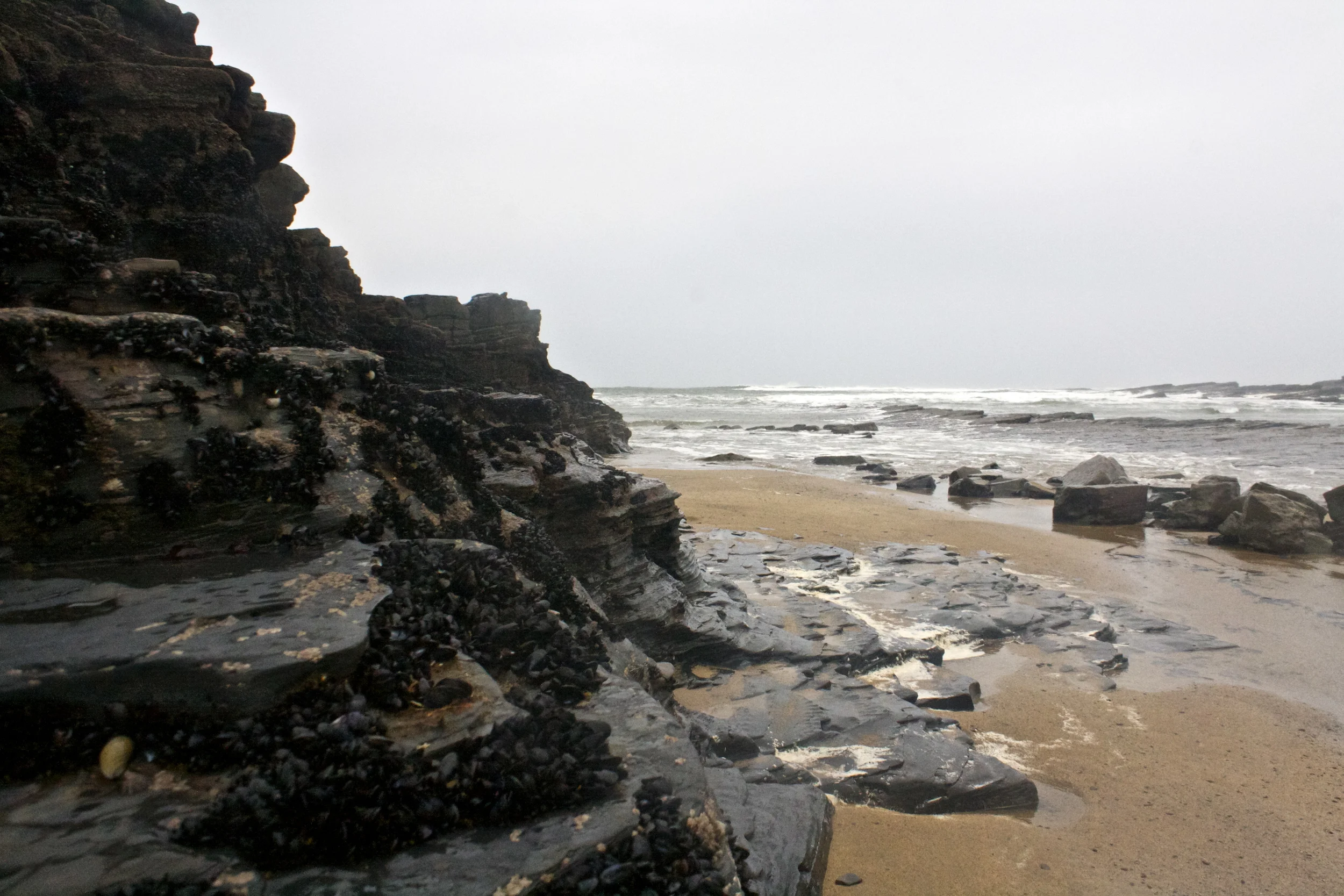 IMG_7976.jpg
