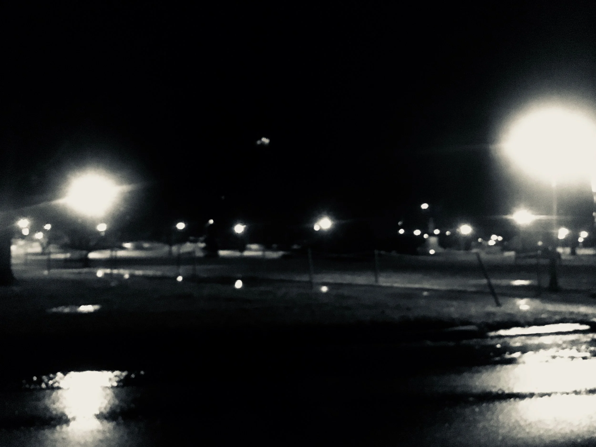 IMG_3896.jpg