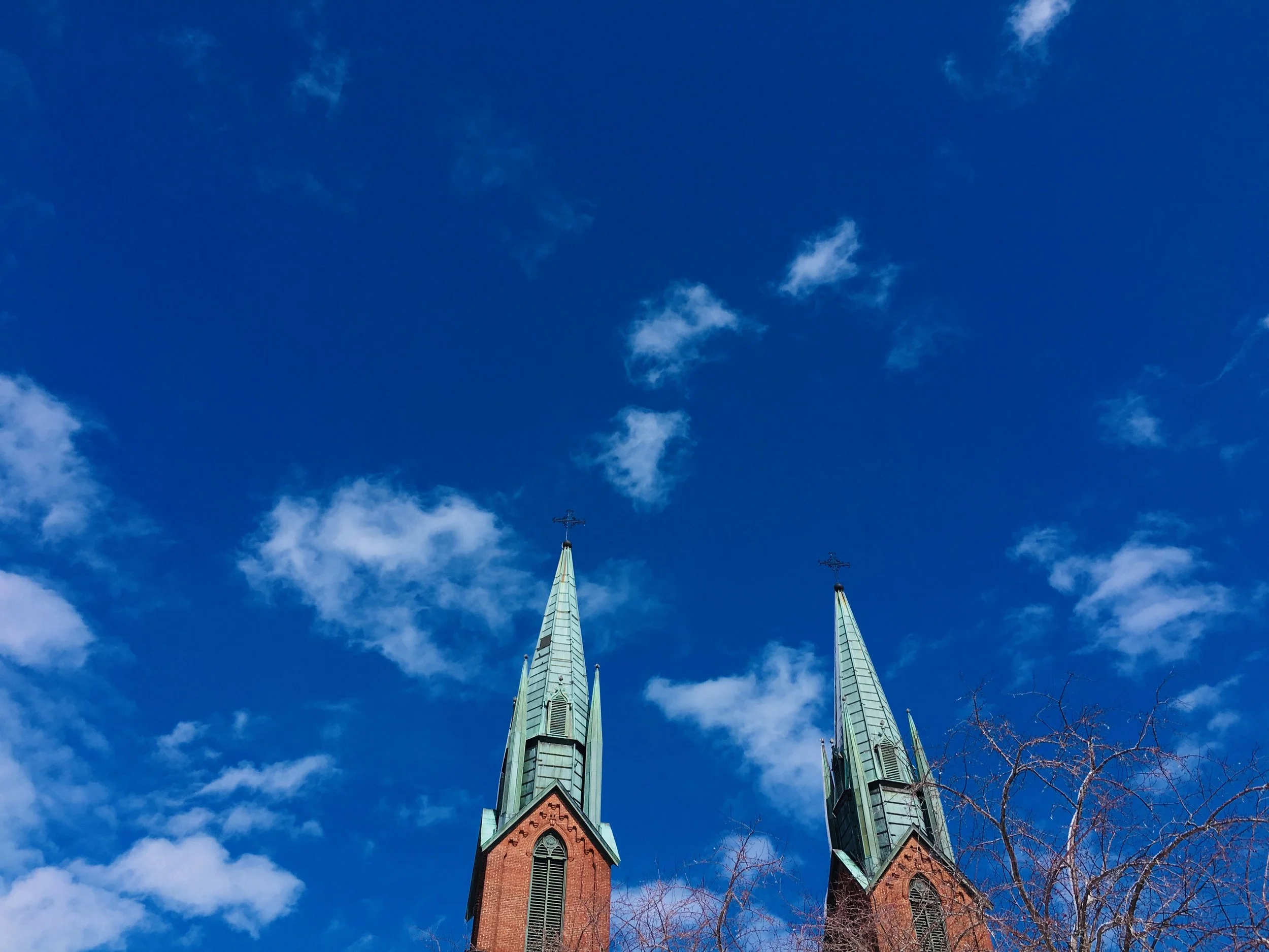 IMG_4018.jpg