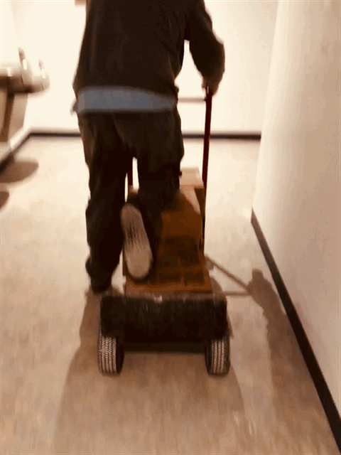 IMG_5014.gif