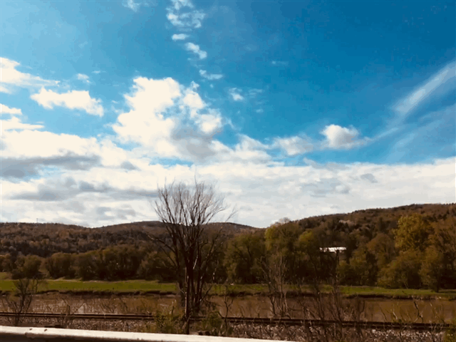 IMG_5514.gif