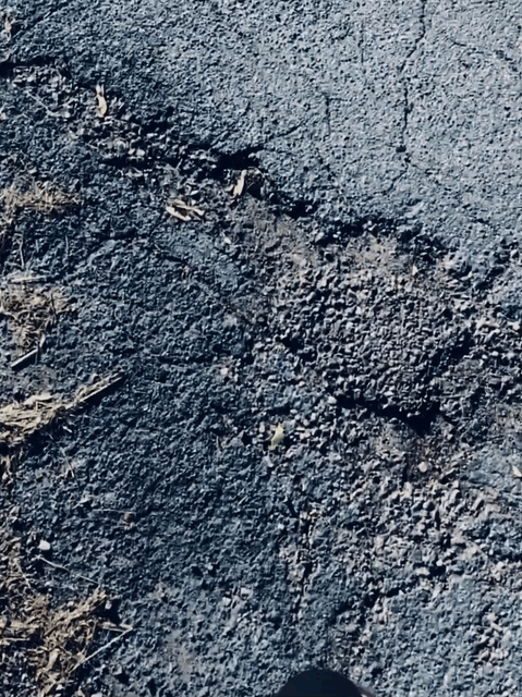 IMG_6084.gif