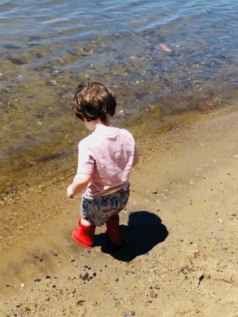 IMG_6361.gif