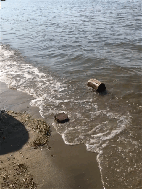 IMG_7216.gif
