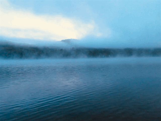 IMG_8898.gif
