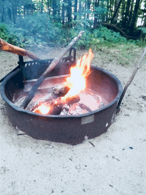 IMG_8946.gif