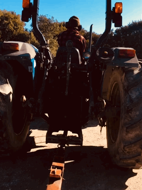 IMG_0182.gif