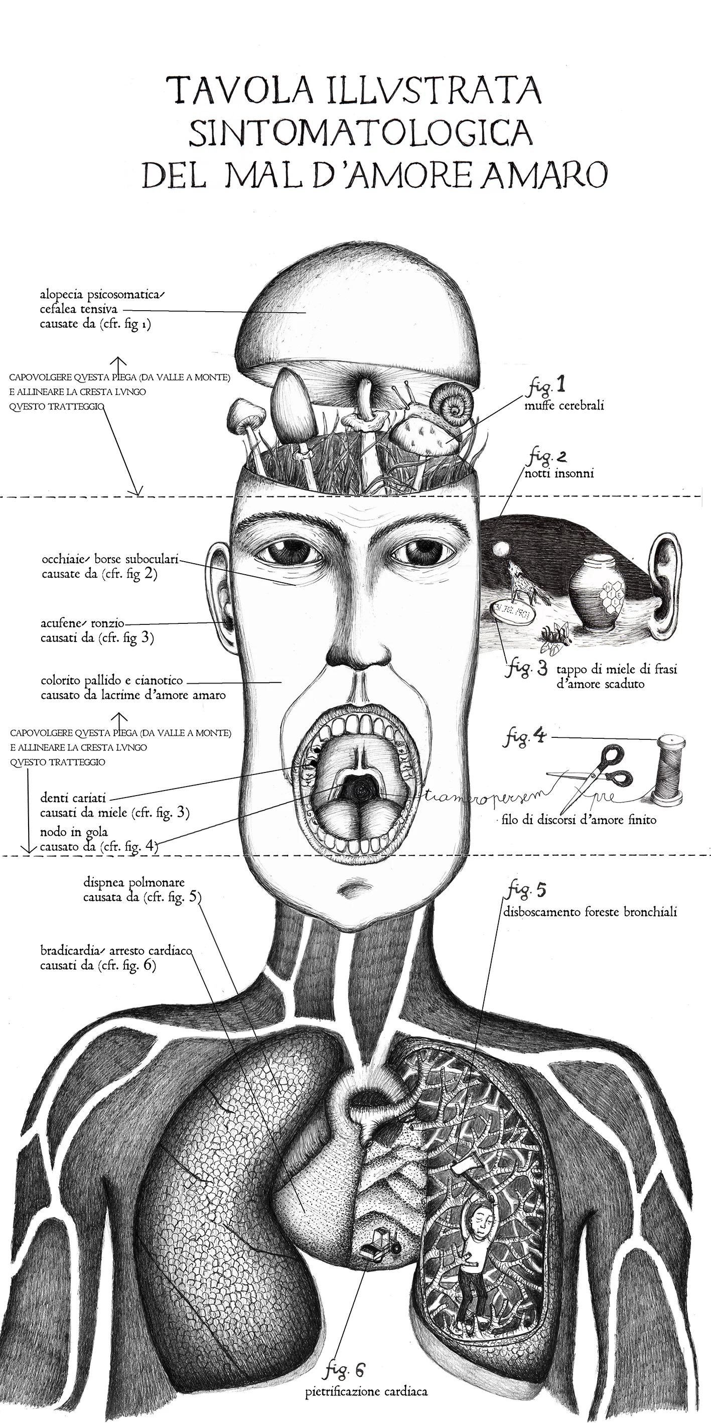 final artistic booklet A kind of anatomical pop up project with folding lines. This illustration is taken from my pop up project "Tavola illustrata del mal d'amore amaro", 2015
