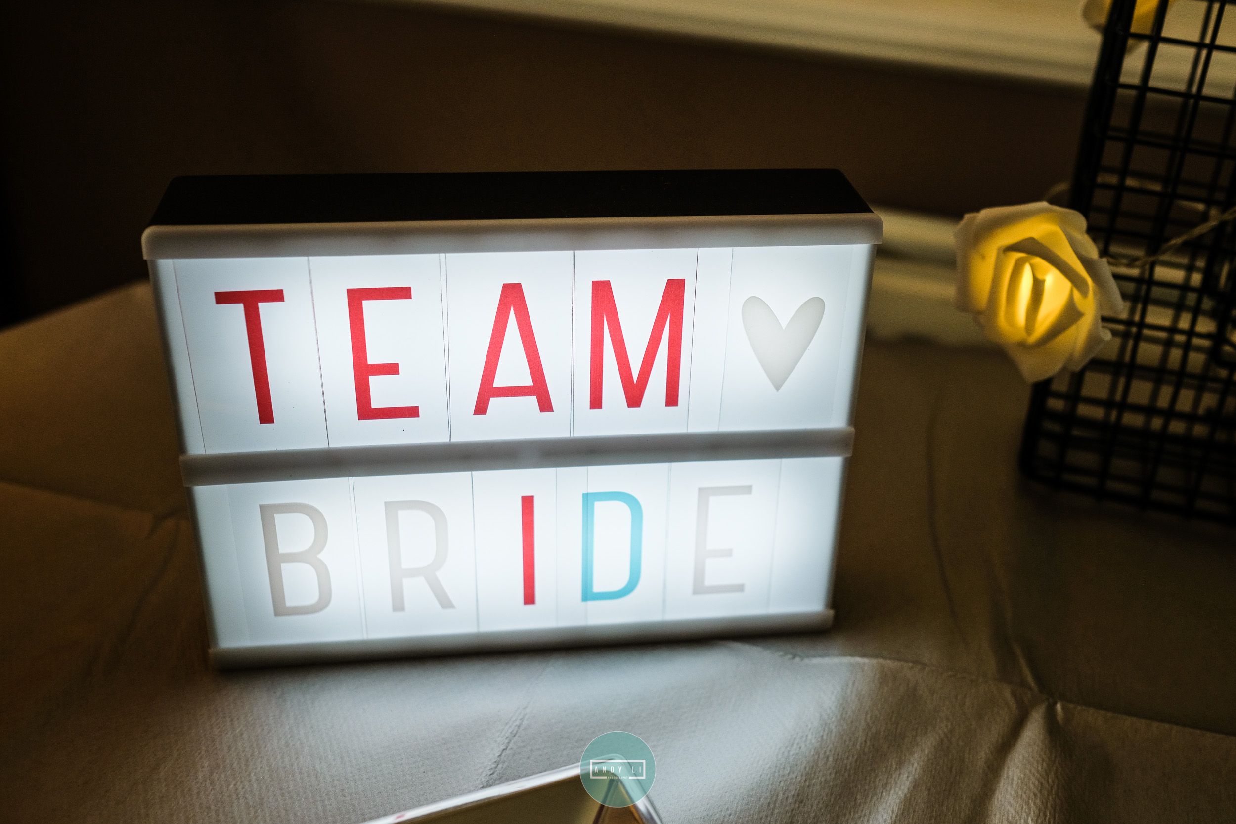 Lilleshall Hall Wedding Photographer-001-AXT21199.jpg